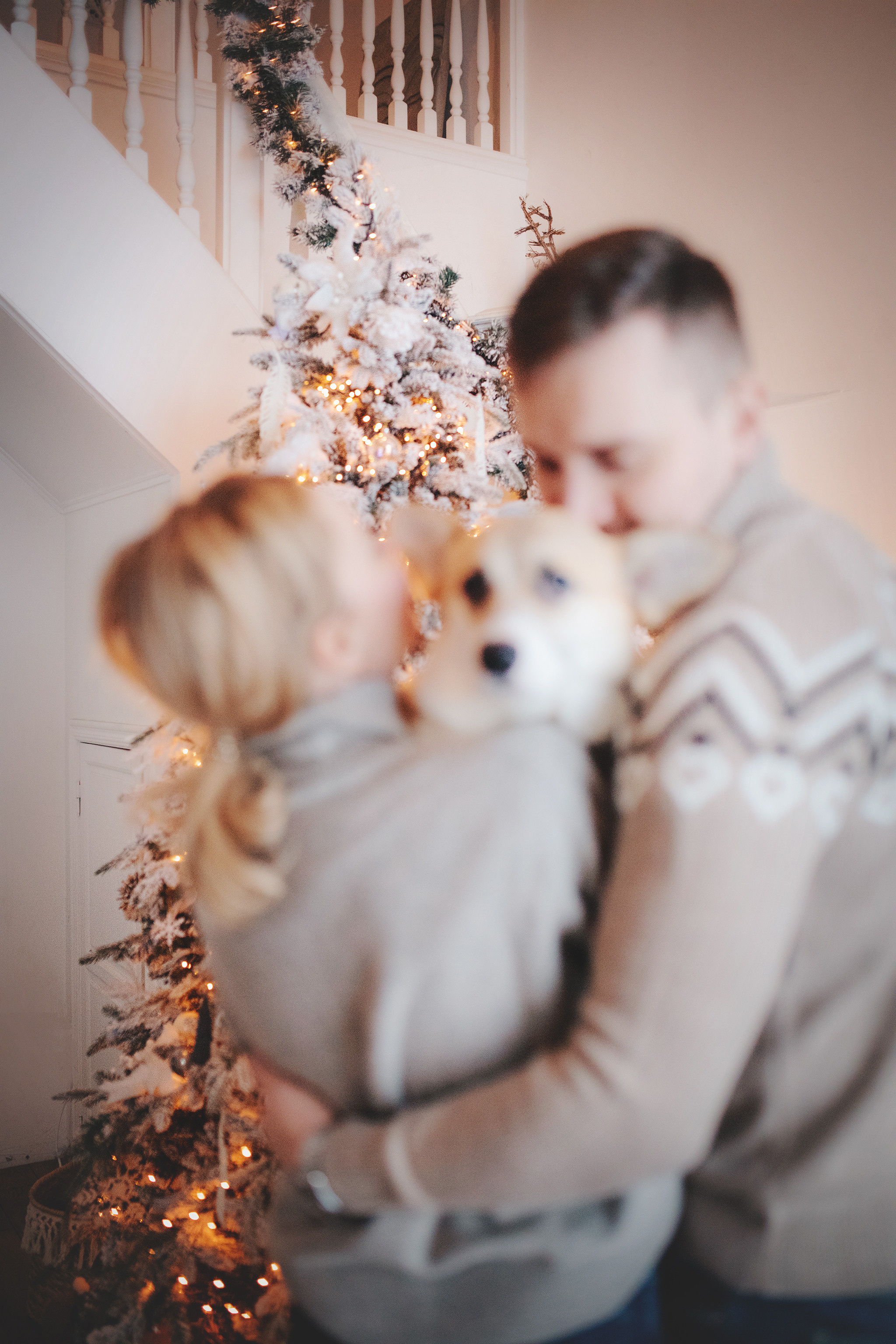 Ребята и Тимка. Фотограф-анималист • love-story • Санкт-Петербург