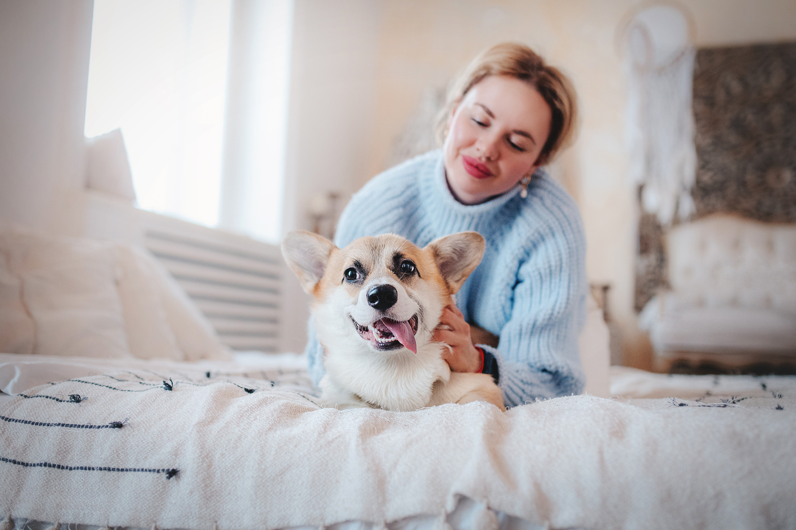 Ребята и Тимка. Фотограф-анималист • love-story • Санкт-Петербург