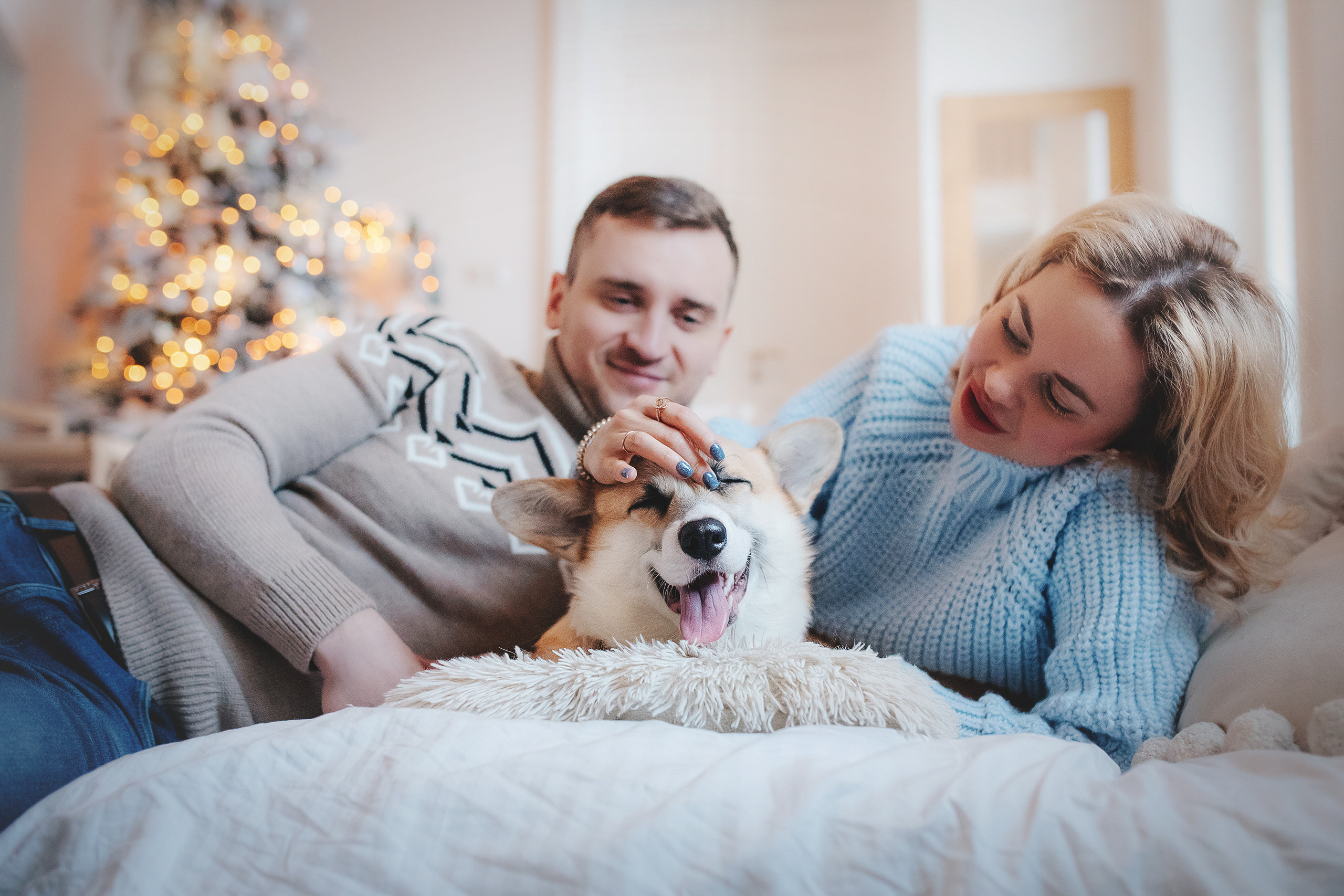 Ребята и Тимка. Фотограф-анималист • love-story • Санкт-Петербург