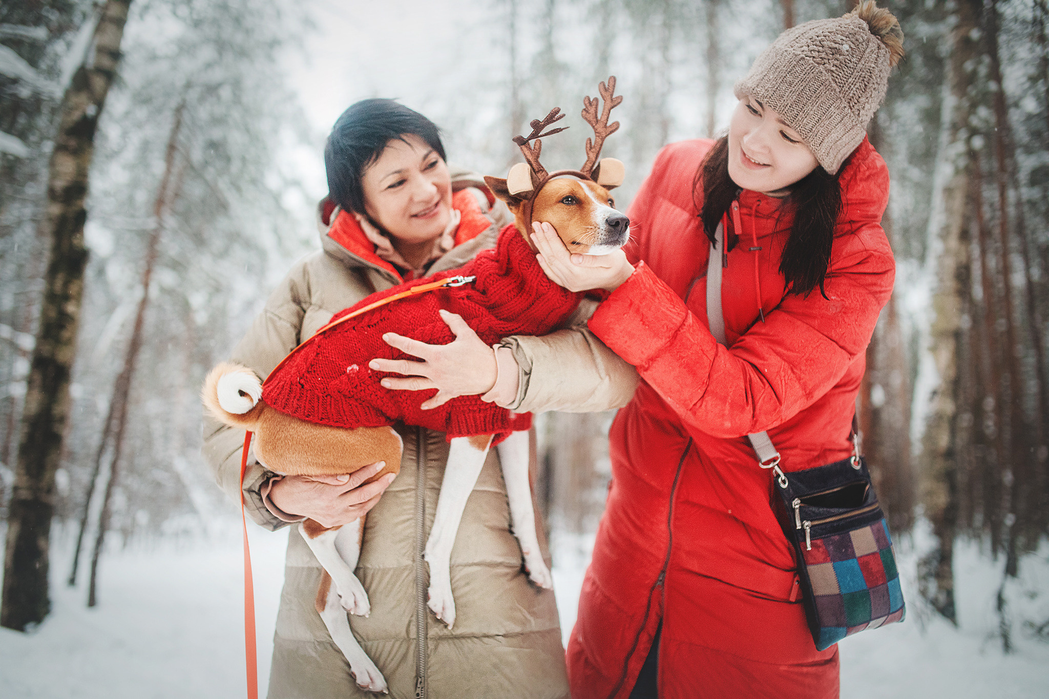 Семейная Юля, Барни и мама. Фотограф-анималист • love-story • Санкт-Петербург