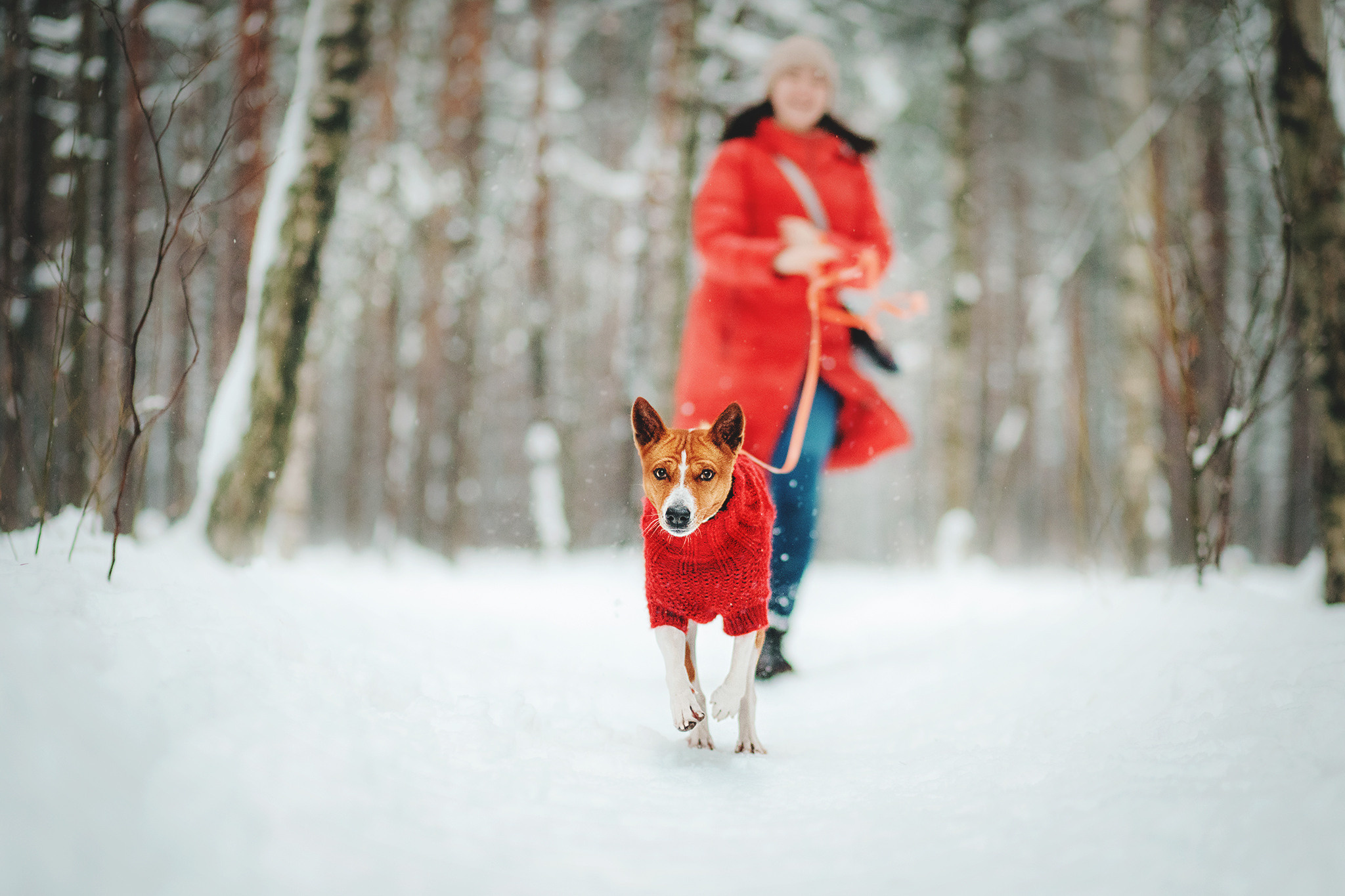 Семейная Юля, Барни и мама. Фотограф-анималист • love-story • Санкт-Петербург