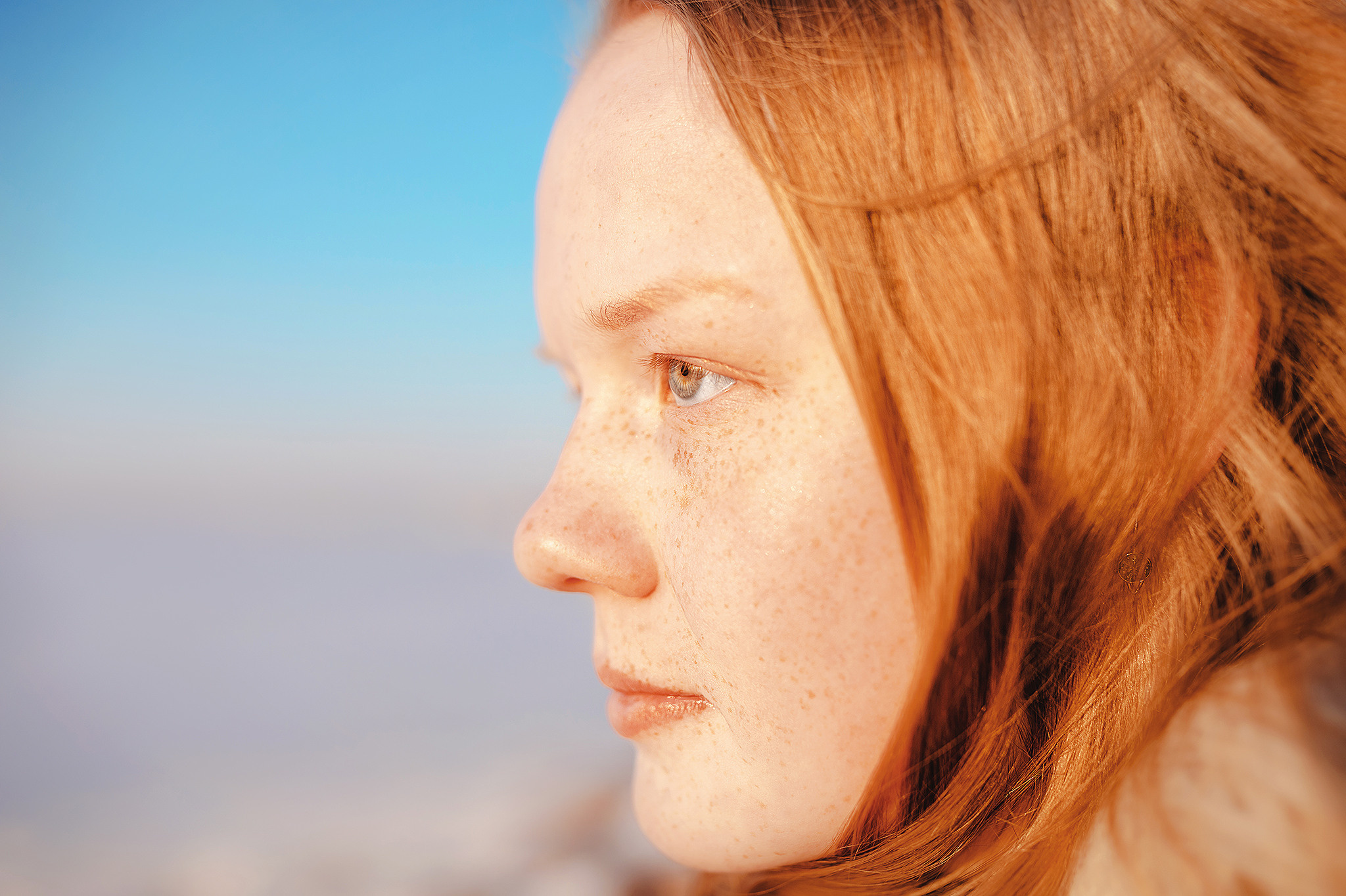 Выжла Паня и Алиса. Фотограф-анималист • love-story • Санкт-Петербург