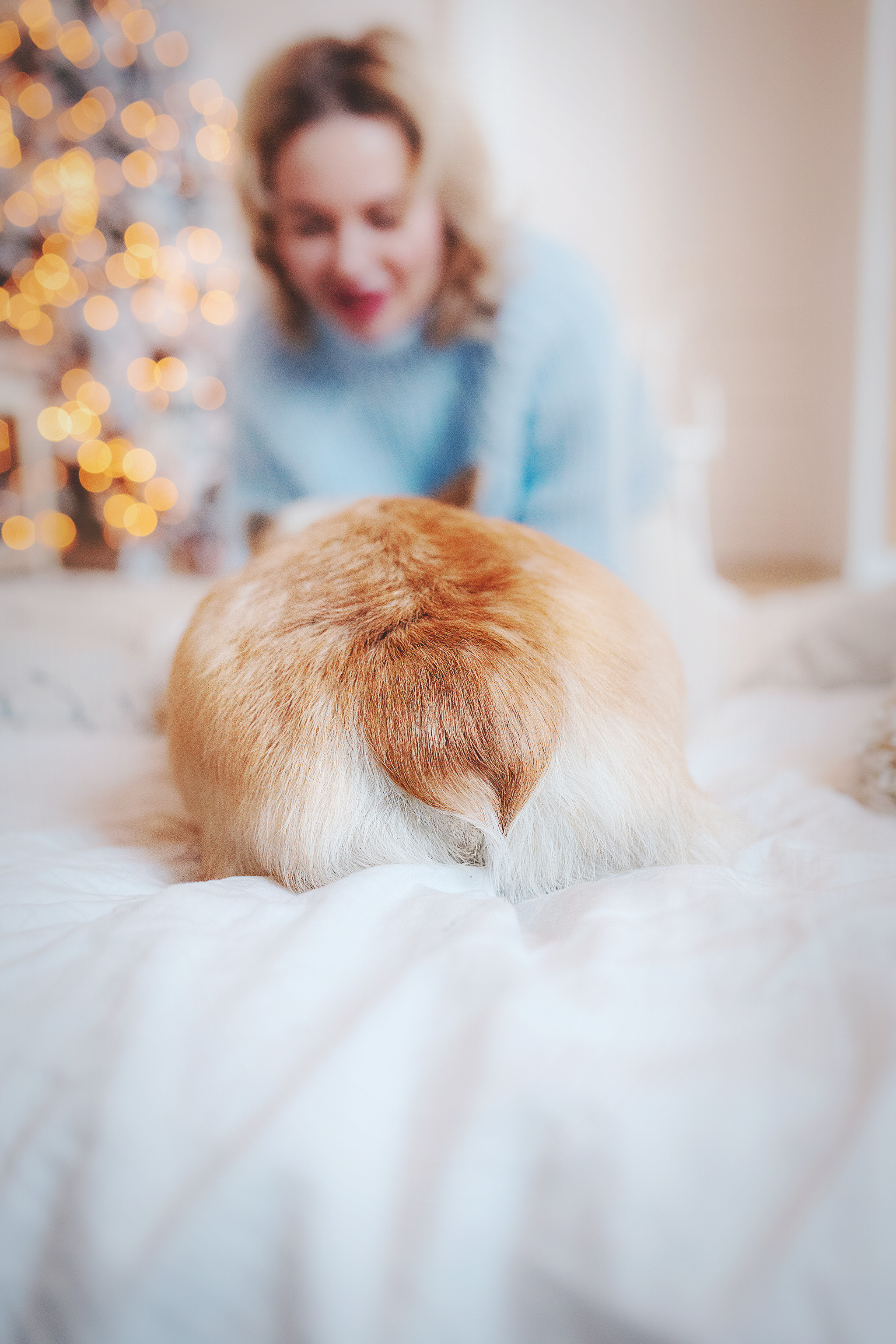 Ребята и Тимка. Фотограф-анималист • love-story • Санкт-Петербург