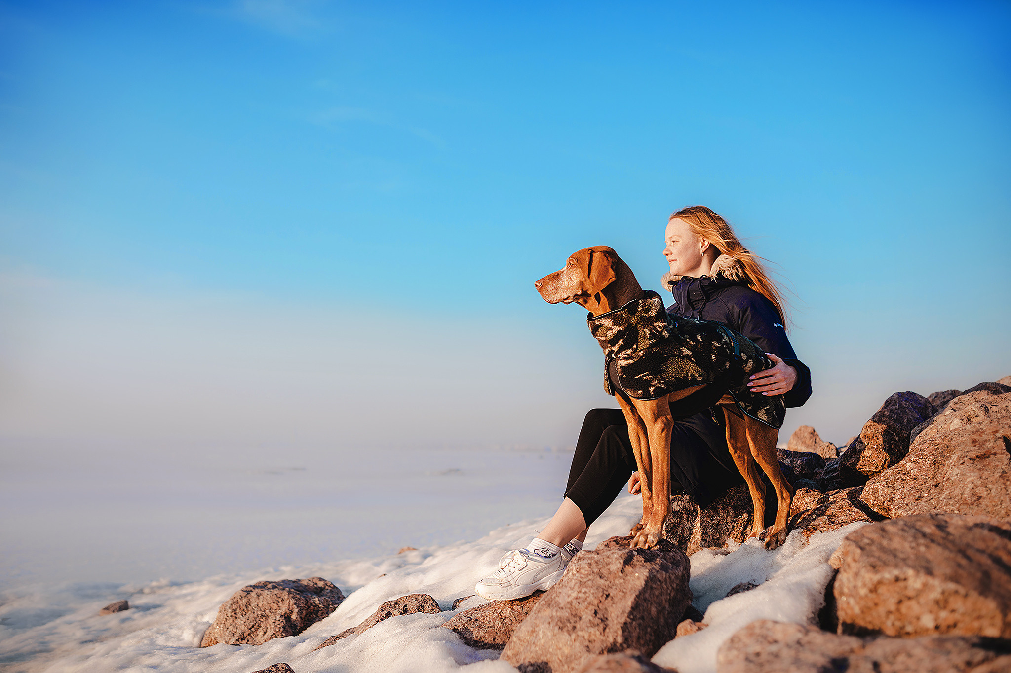 Выжла Паня и Алиса. Фотограф-анималист • love-story • Санкт-Петербург