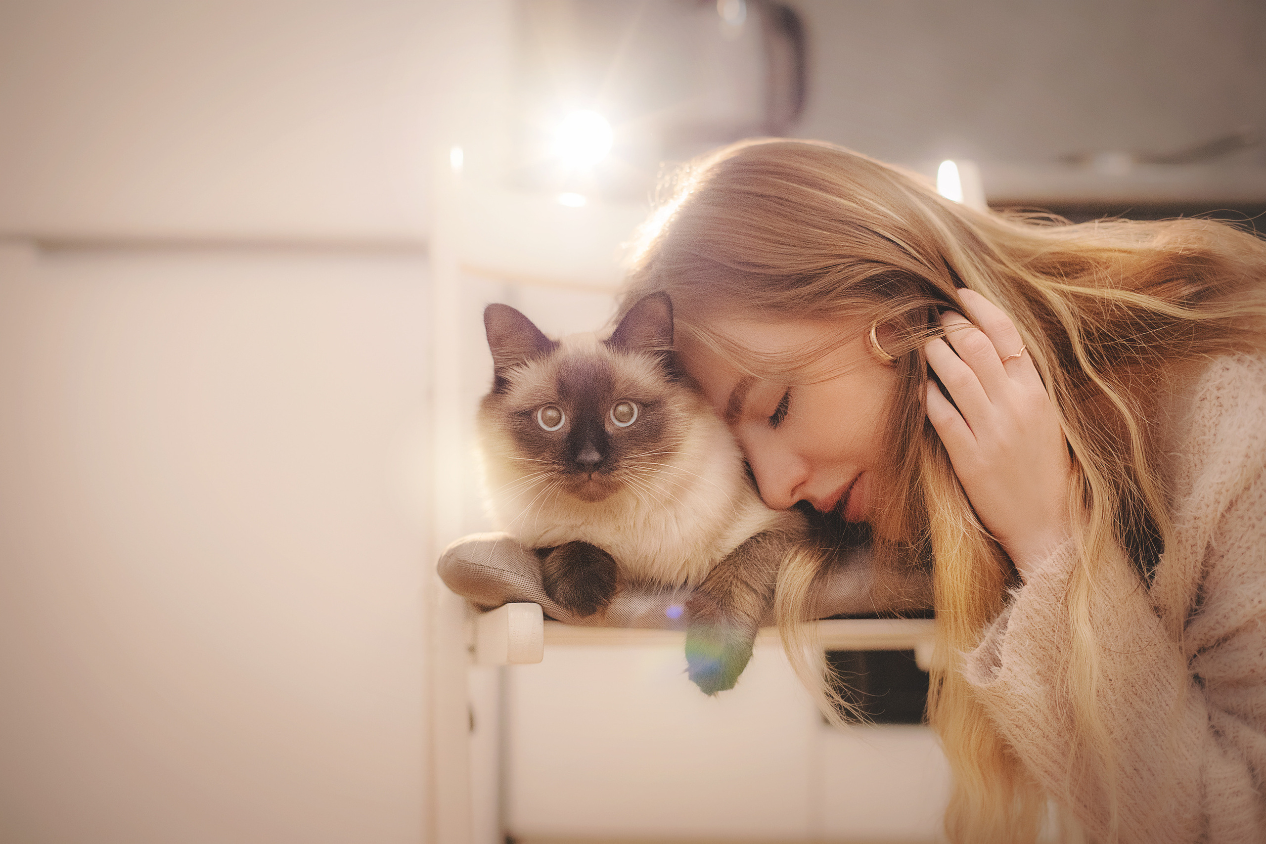 Серия с котиками. Фотограф-анималист • love-story • Санкт-Петербург