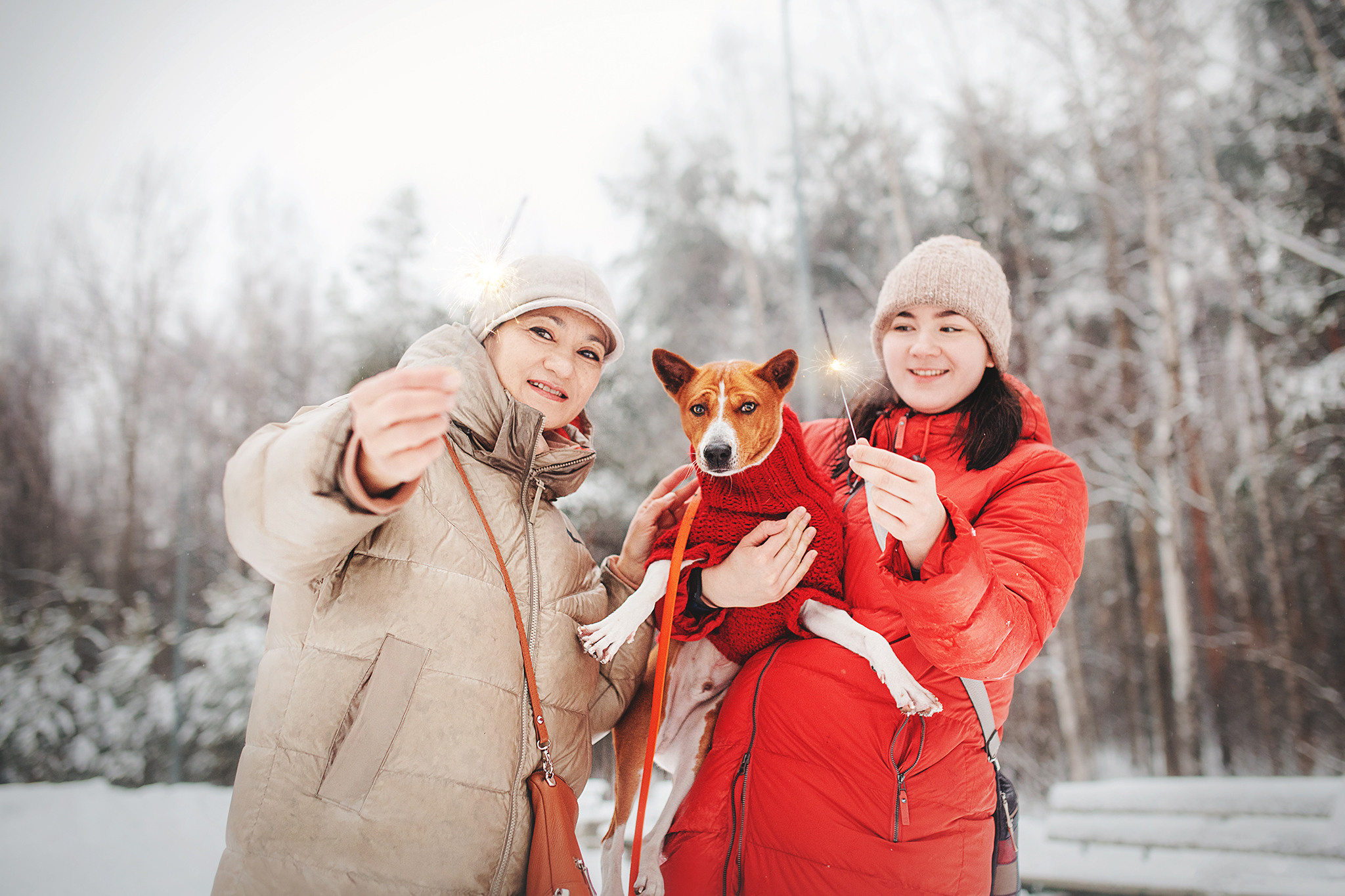 Семейная Юля, Барни и мама. Фотограф-анималист • love-story • Санкт-Петербург