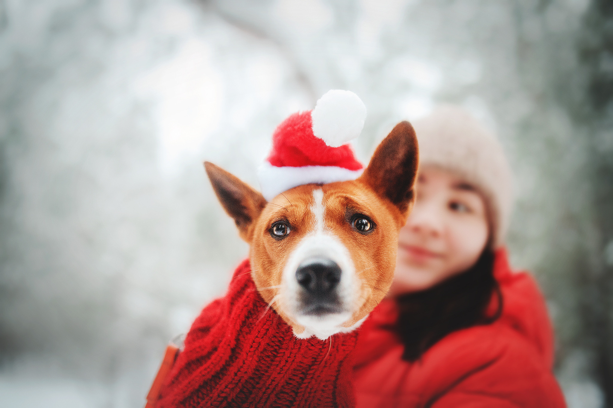 Семейная Юля, Барни и мама. Фотограф-анималист • love-story • Санкт-Петербург