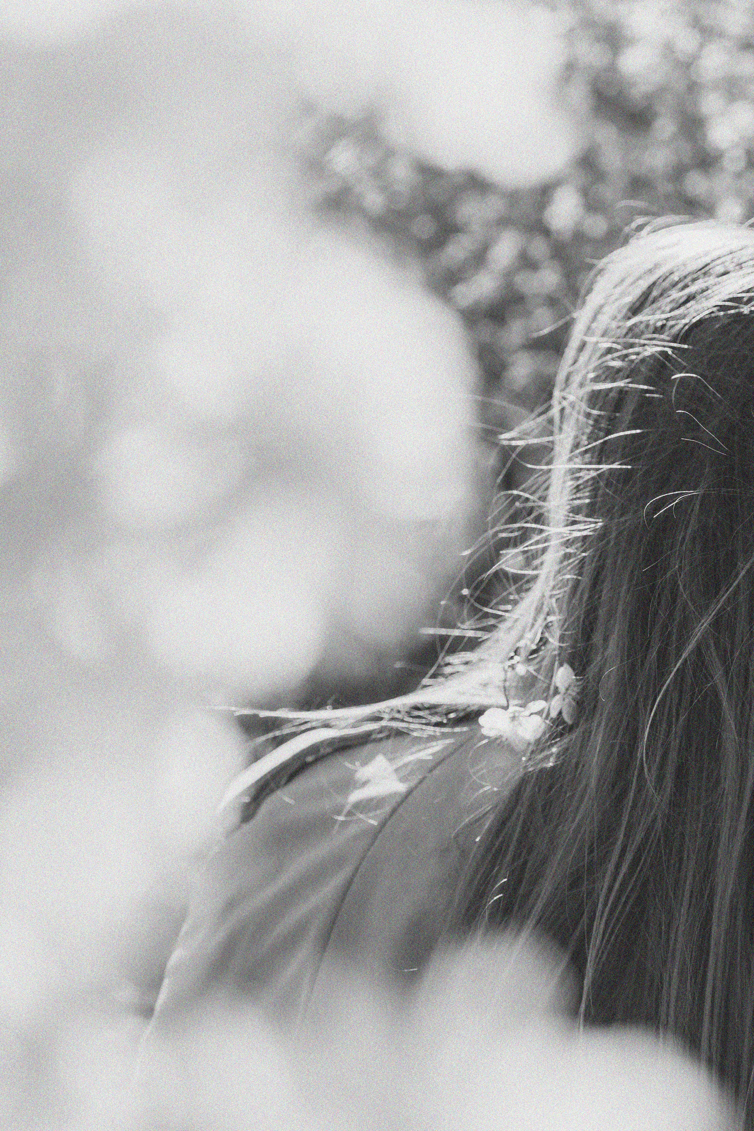 Эстетика П р о Я в л е н и я. Виноградова Маргарита. Фотограф P r o Явления