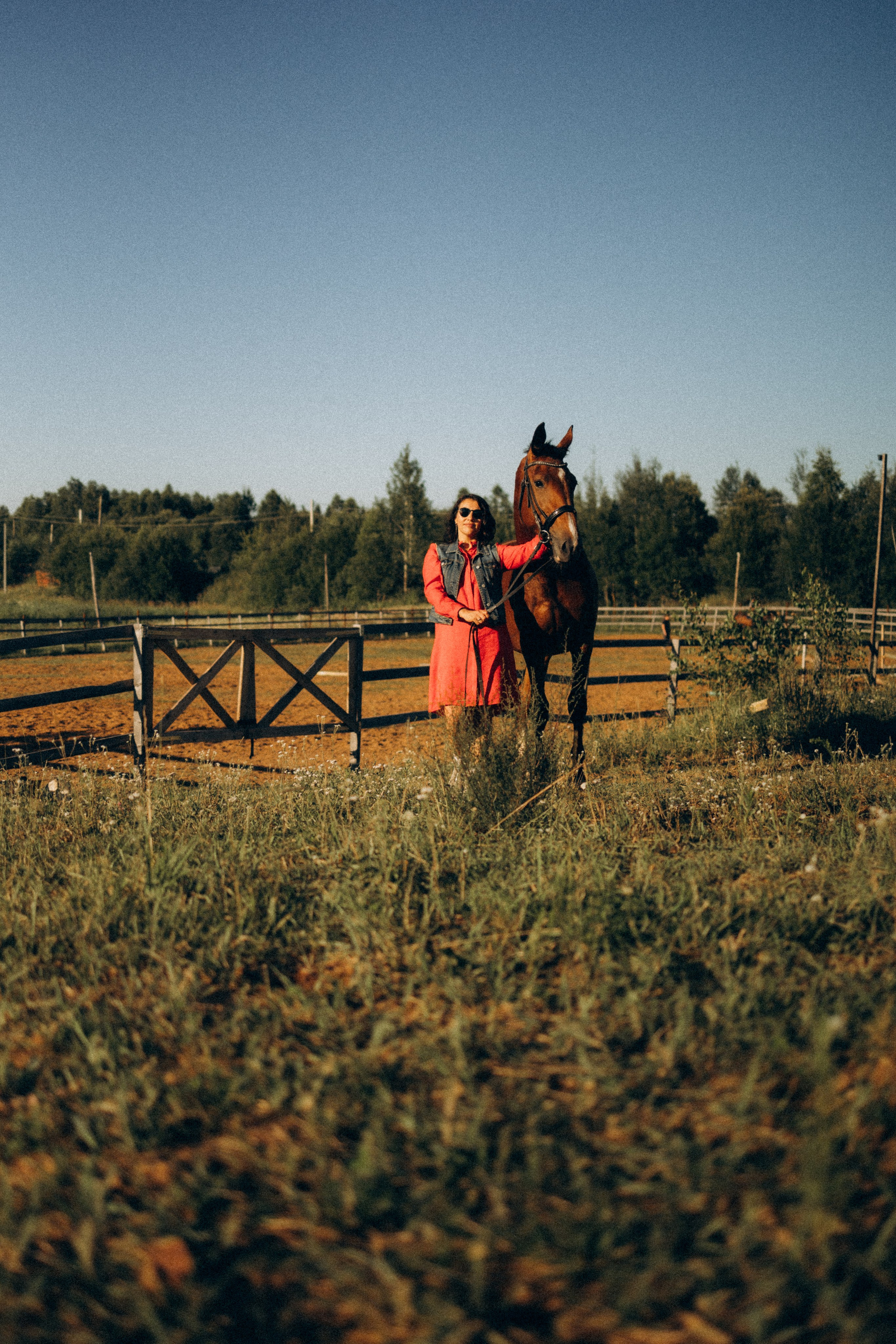 А в деревни лошади. Фотограф Москва Светлана Кирюшина