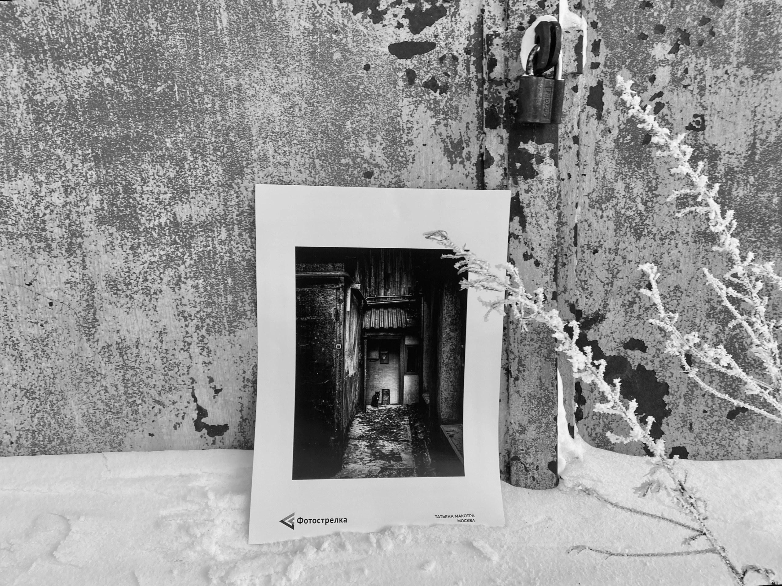 Уличная выставка-перфоманс в Воркуте 2025. Фотограф в Москве Татьяна Макотра