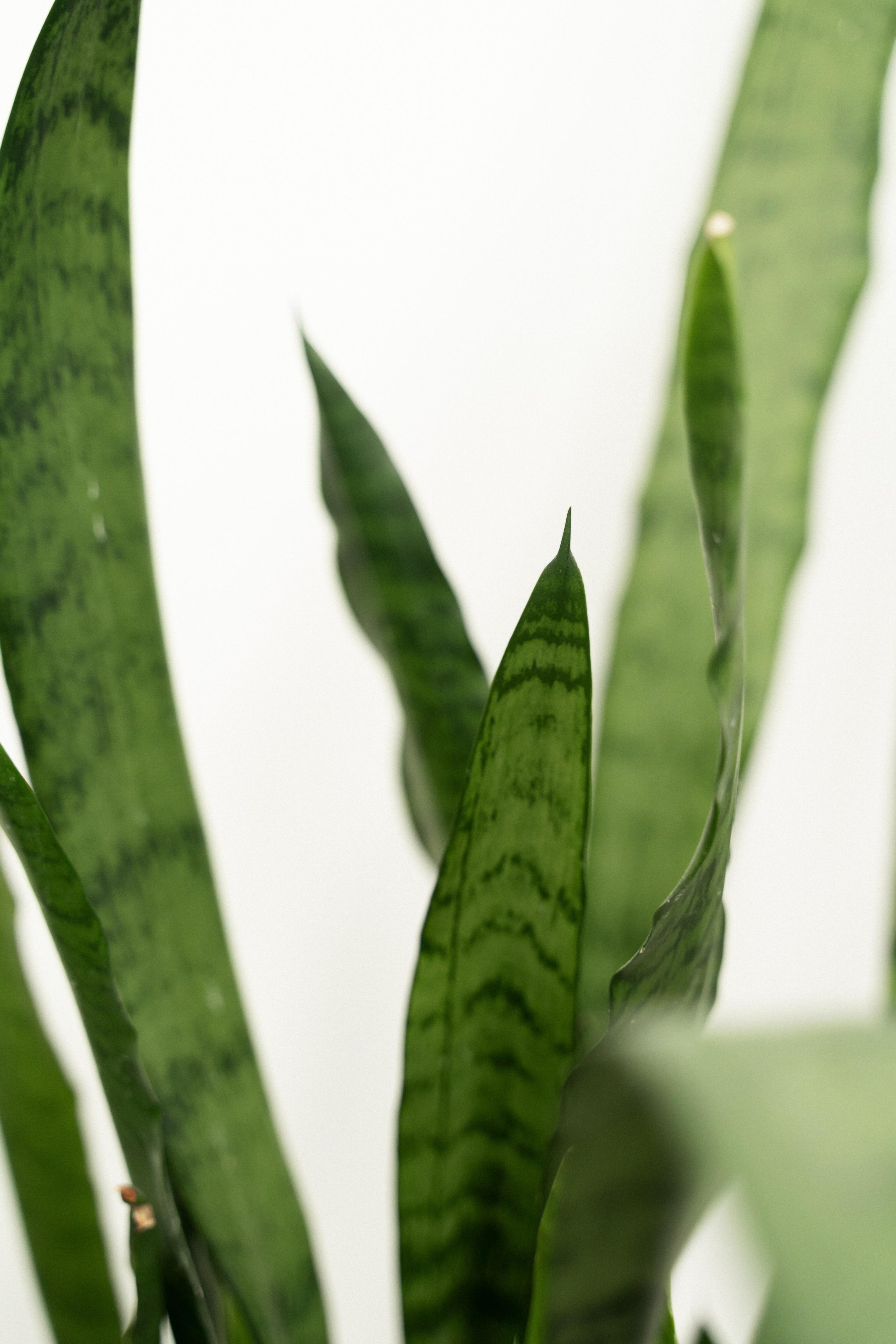 Парикмахер-колорист. Фотограф Алина Филимонова Тверь