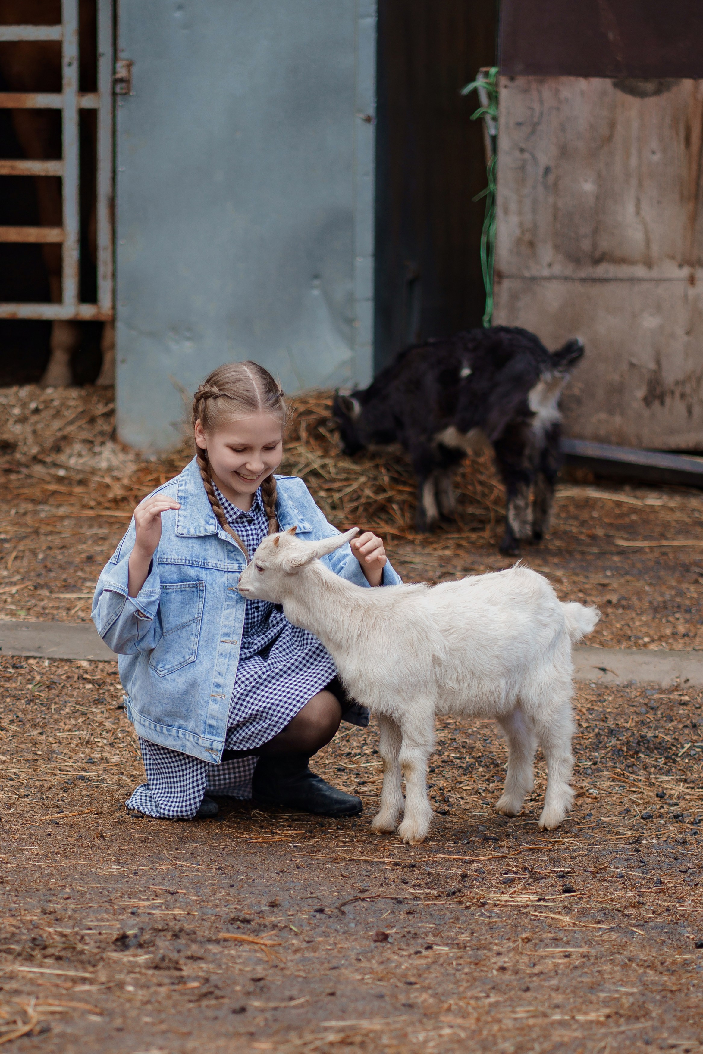 ФЕРМА. Фотограф Людмила Панюхина г. Нижний Новгород