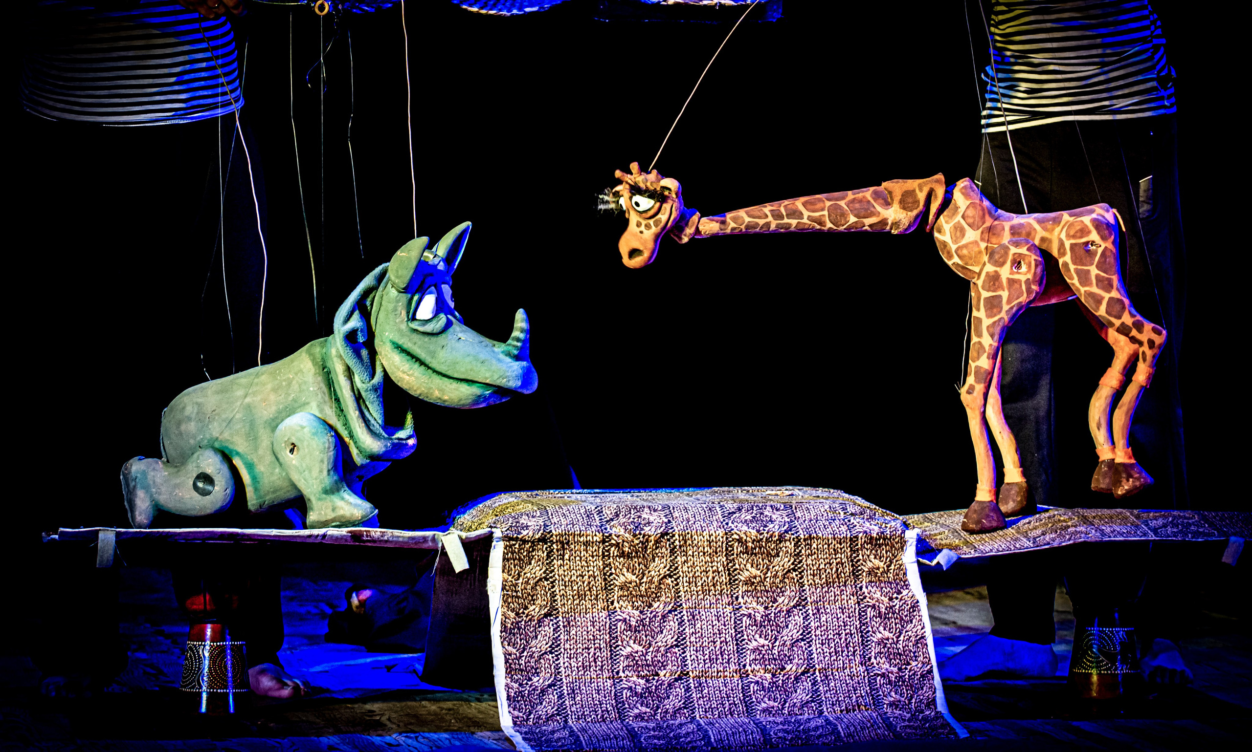 Жирафа и носорог спектакль театра Саквояж. Фотограф в Сочи Юрий Шептаев