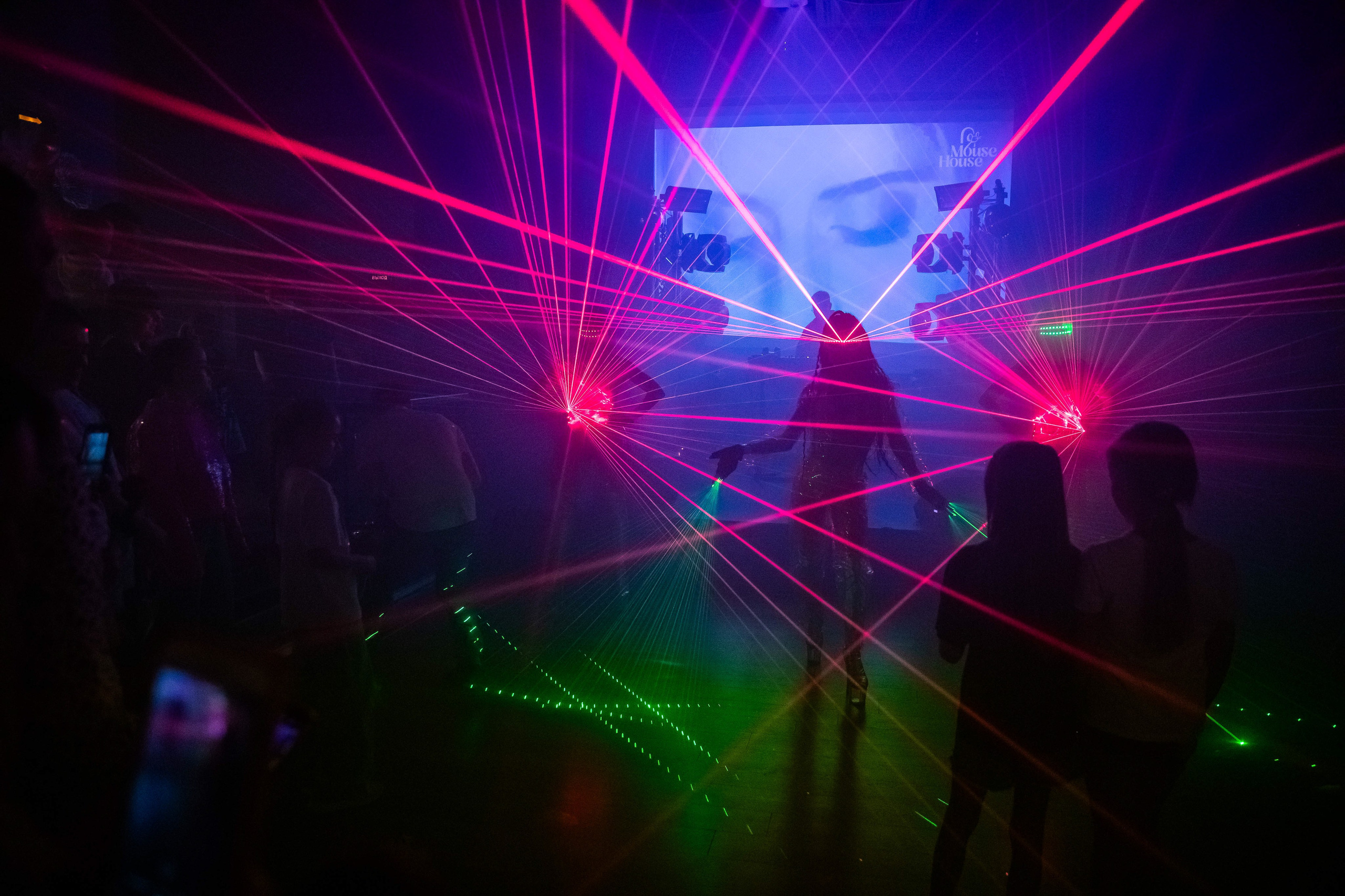 Отпетые мошенники в Mouse House. NesterovaMaria.ru