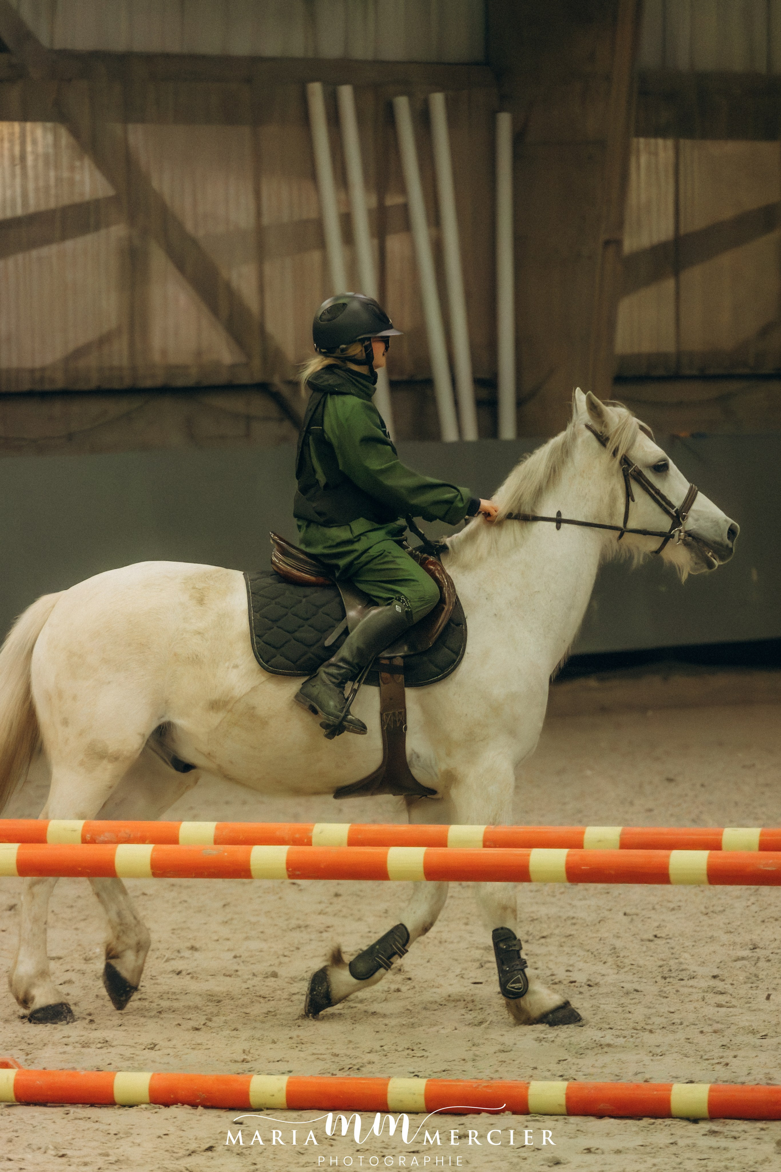 Evènements. Photographe des familles et enfants à Nantes et alentours