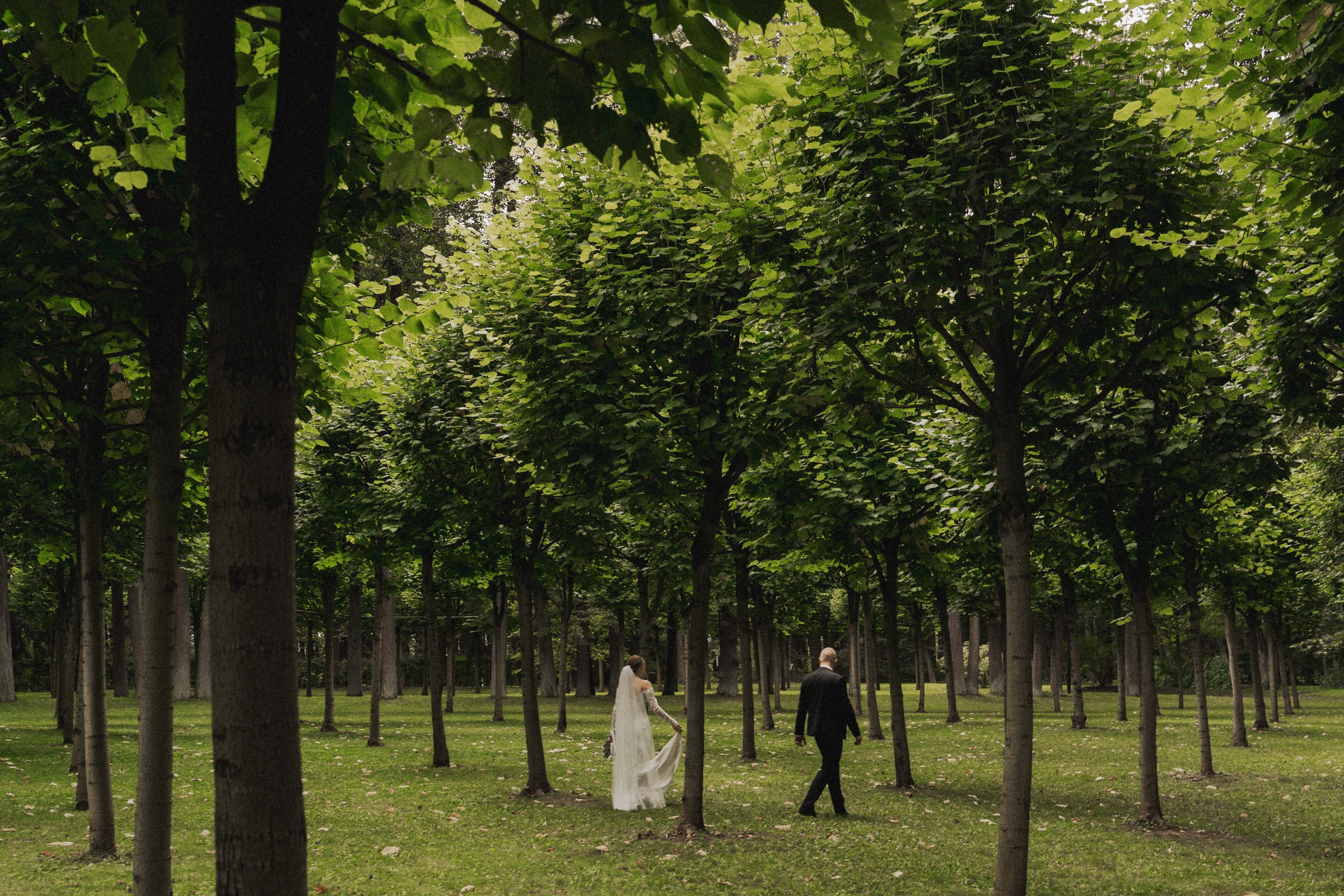 К ♡ Е — Под кроной вечности (Усадьба Остафьево). Свадебный и портретный фотограф в Москве, Светлана Янковая