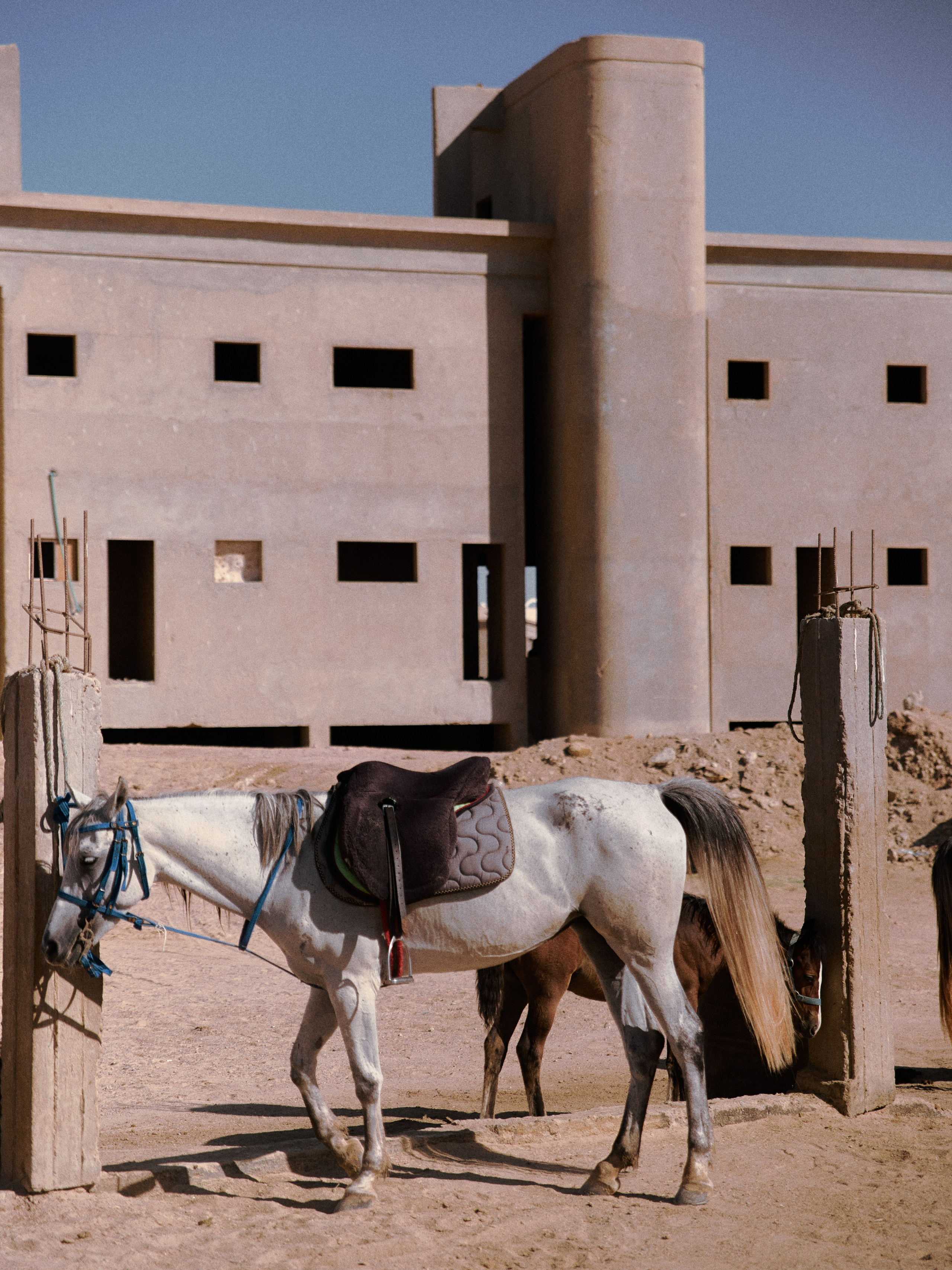 Другое 2. Jorgis Talè — photographer, kind person, teacher of arts and other mag