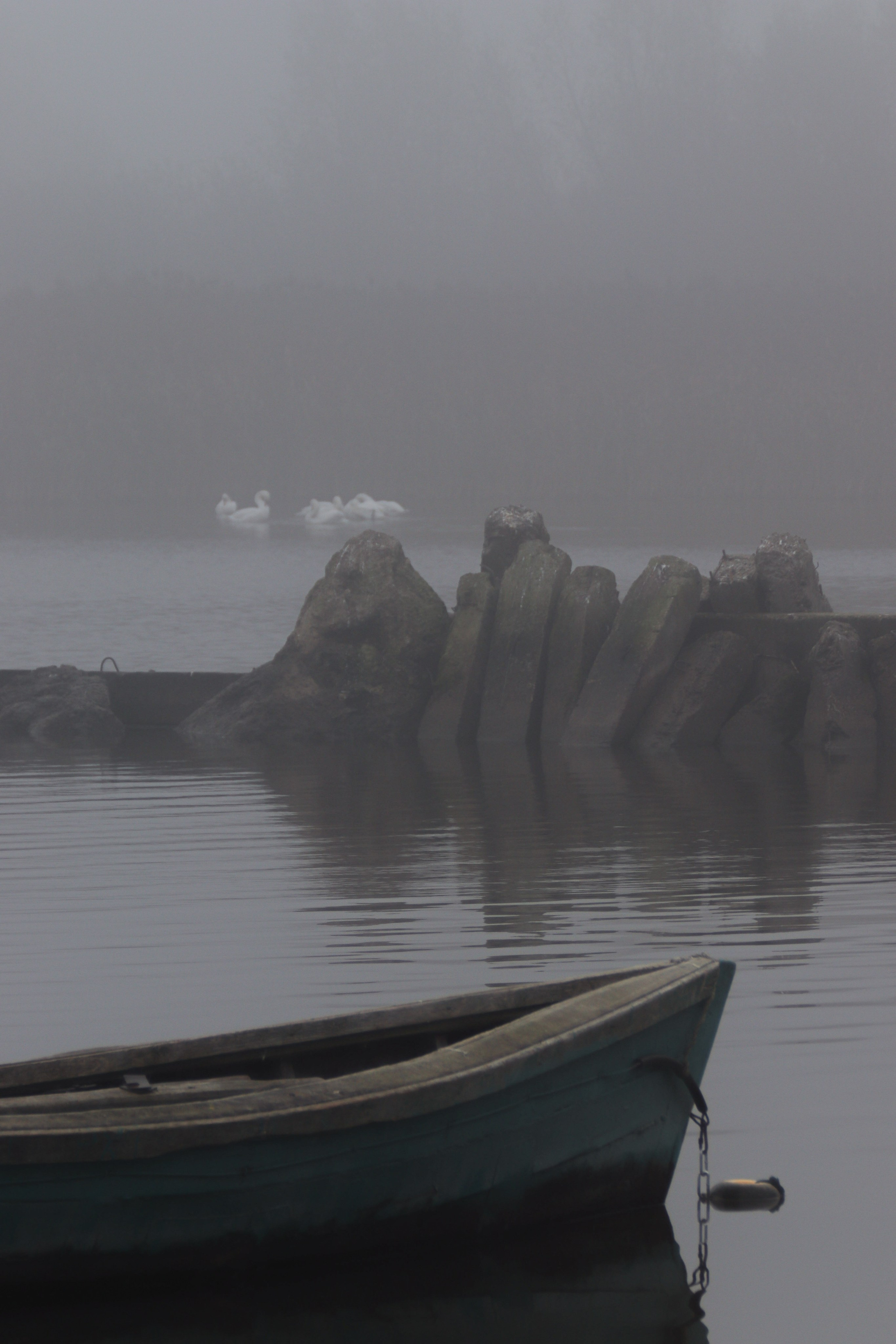 Т У М А Н. — Digital Noise —