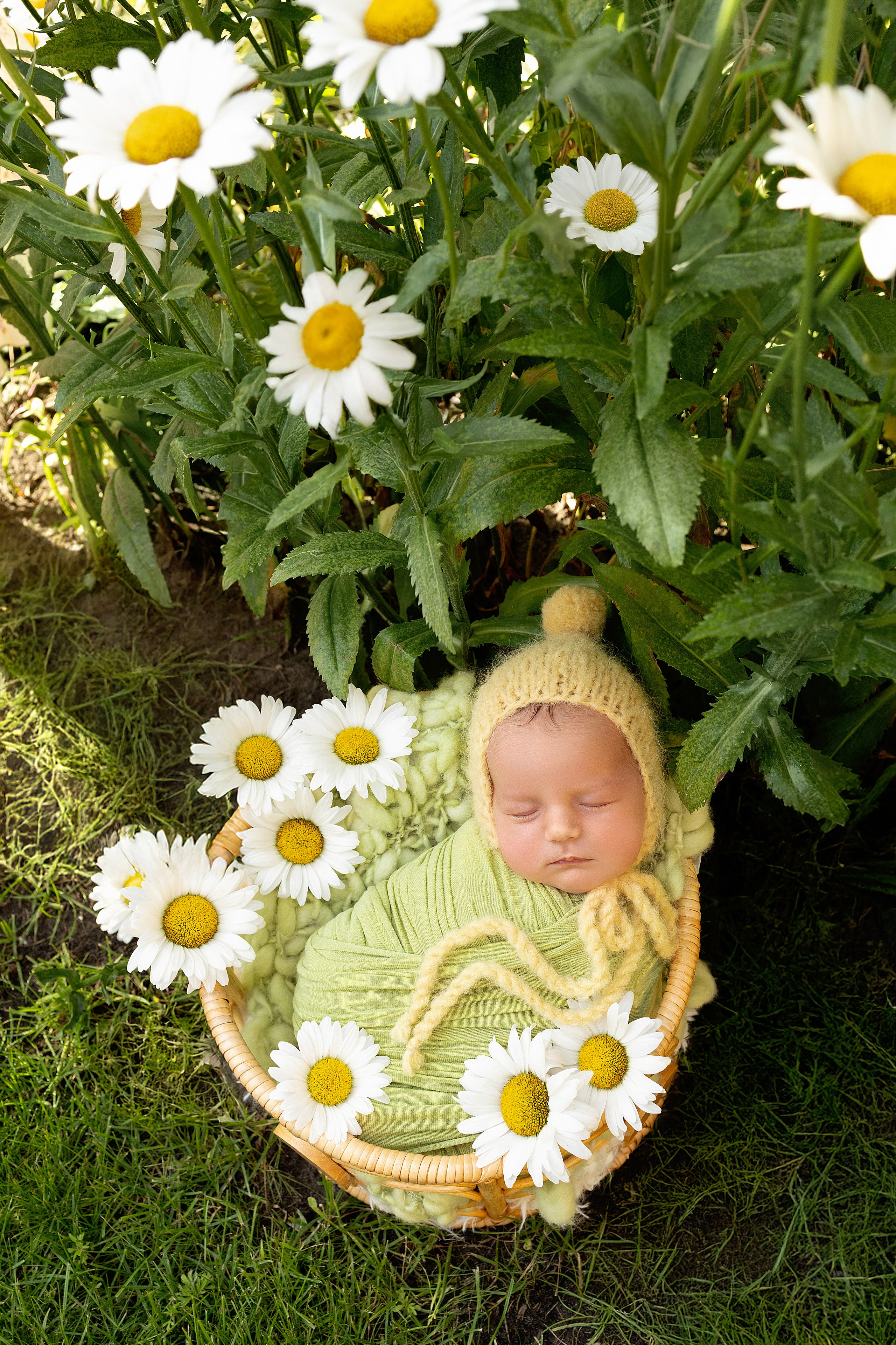 Фотограф новорожденных в г. Ростове-на-Дону Инна Дурасова