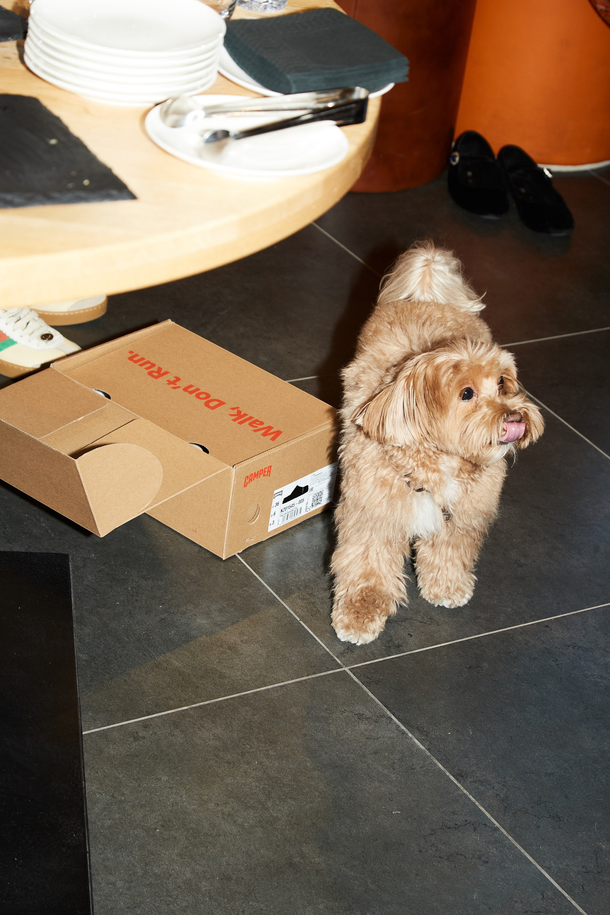 CAMPER. Photographer Daria Ilkevich