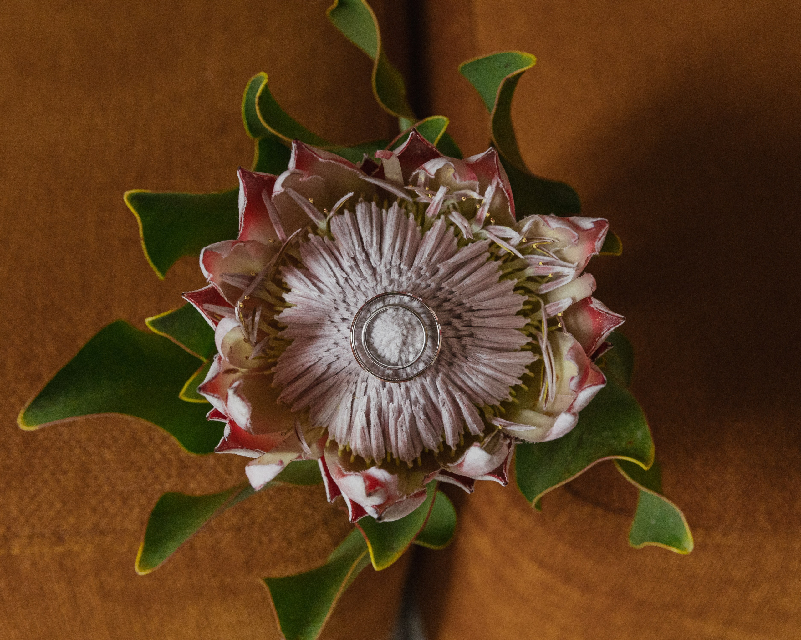 WEDDING M&P. Свадебный фотограф Дмитрий Краснов. Санкт-Петербург