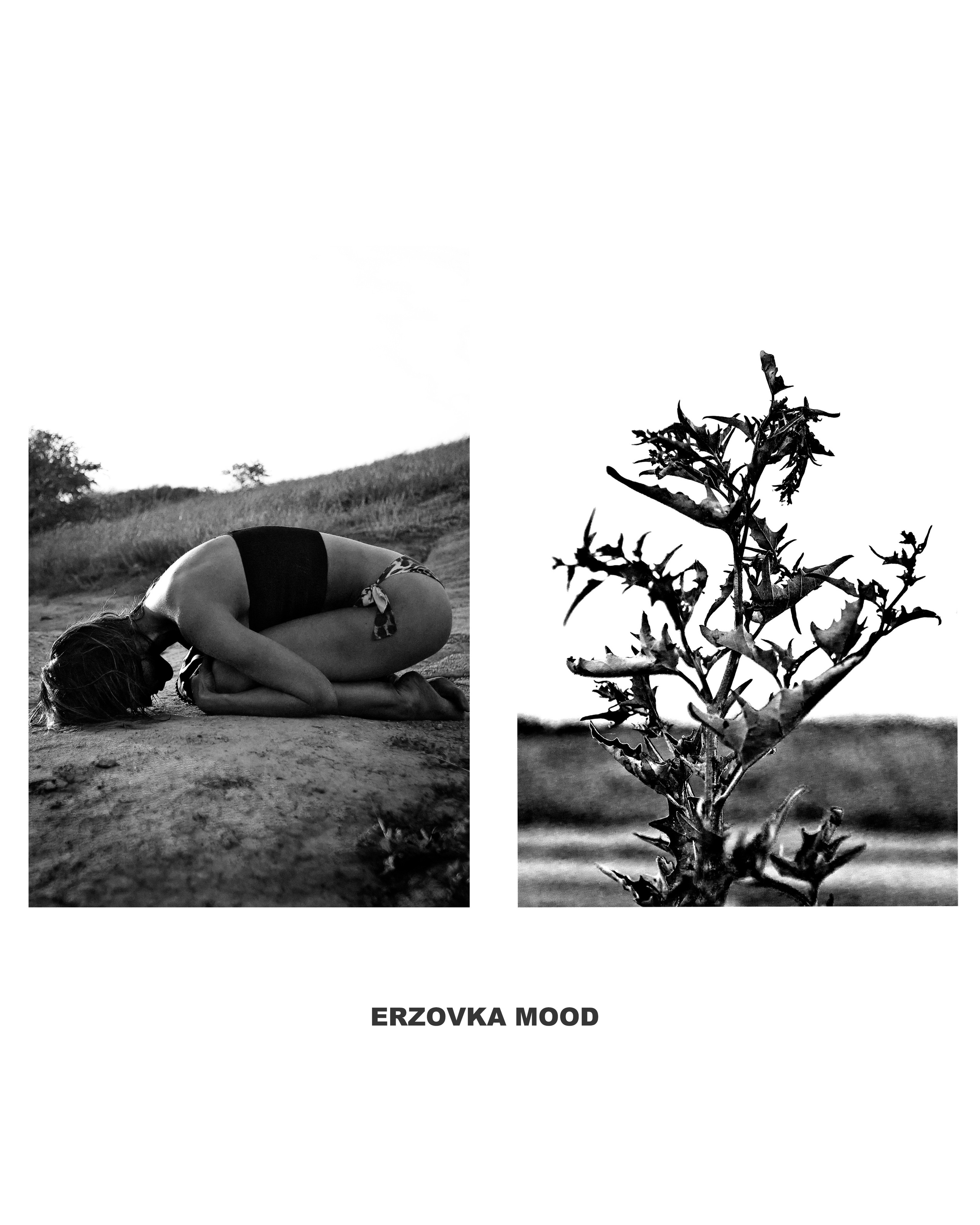 Спасибо за проявленный интерес к моему творчеству! Меня зовут Россохат