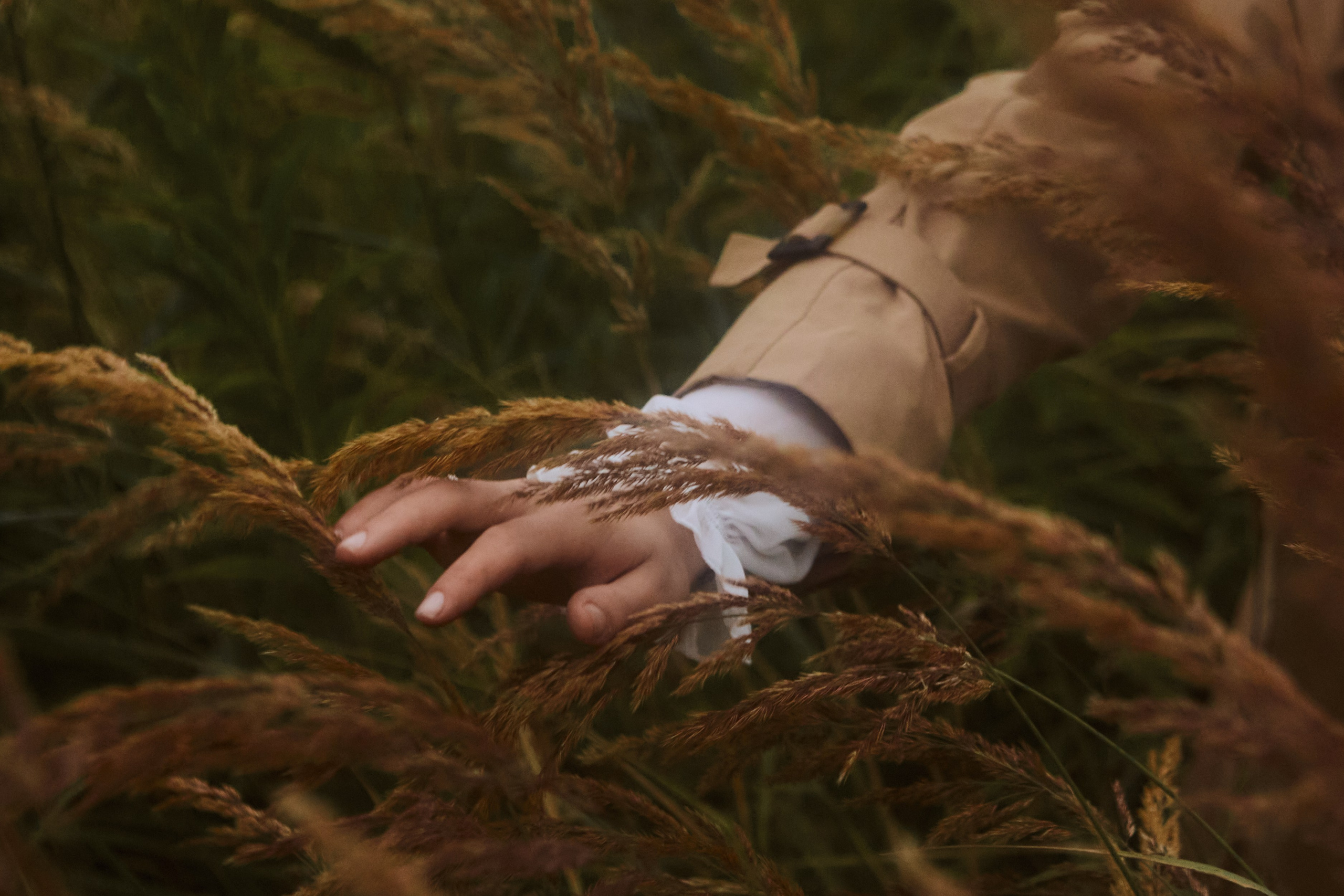 осенняя эстетика