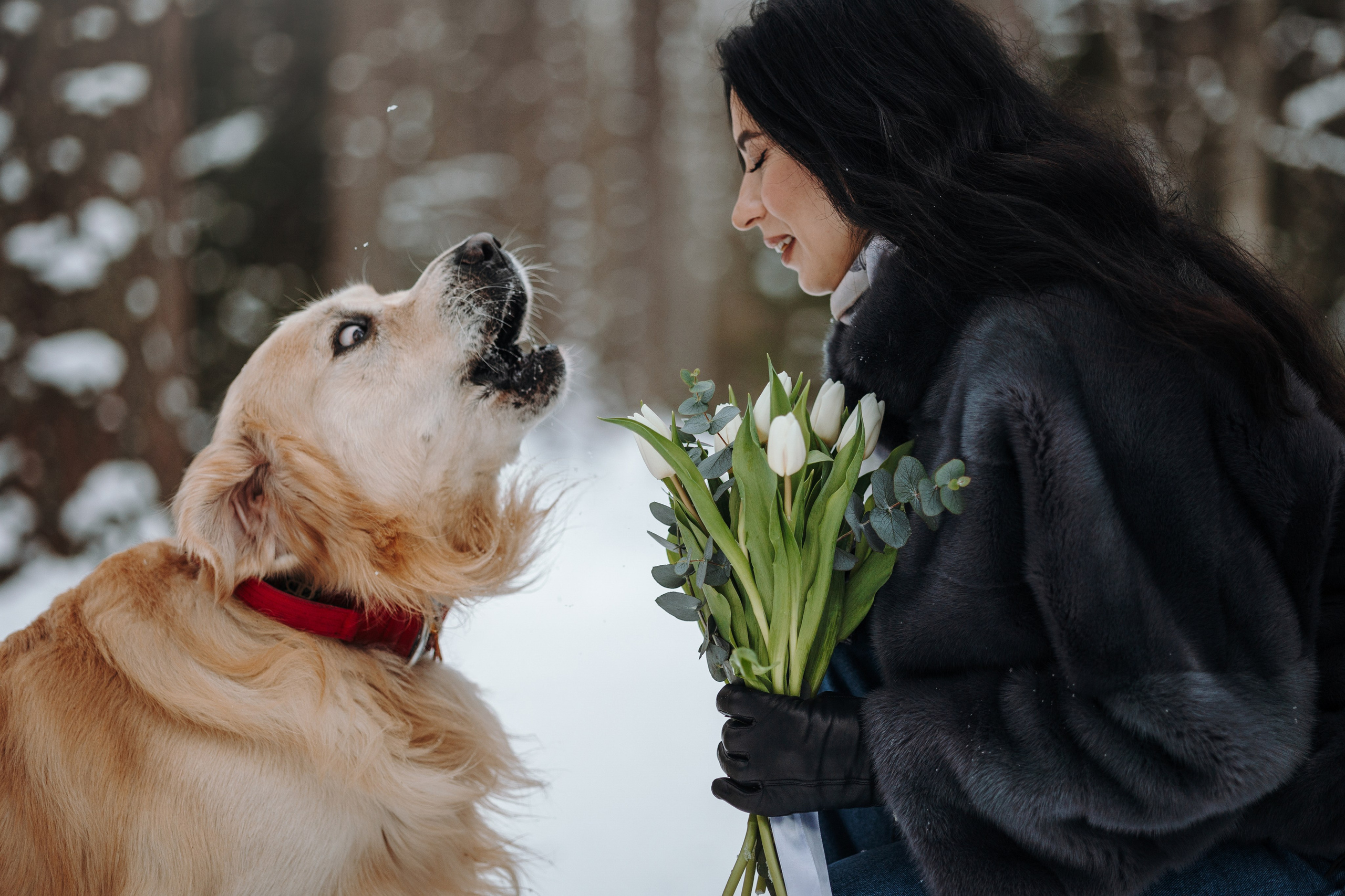 Вика и Лёва. Фотограф — Анималист | Санкт-Петербург