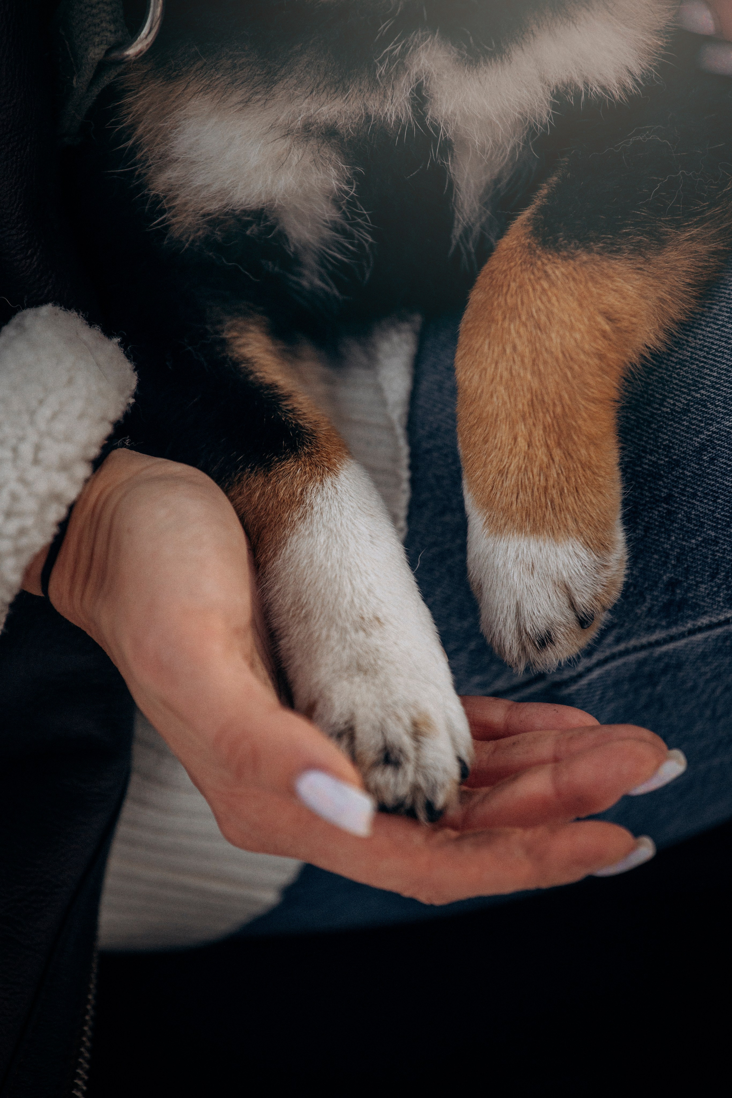 Дарья и Мики. Фотограф — Анималист | Санкт-Петербург