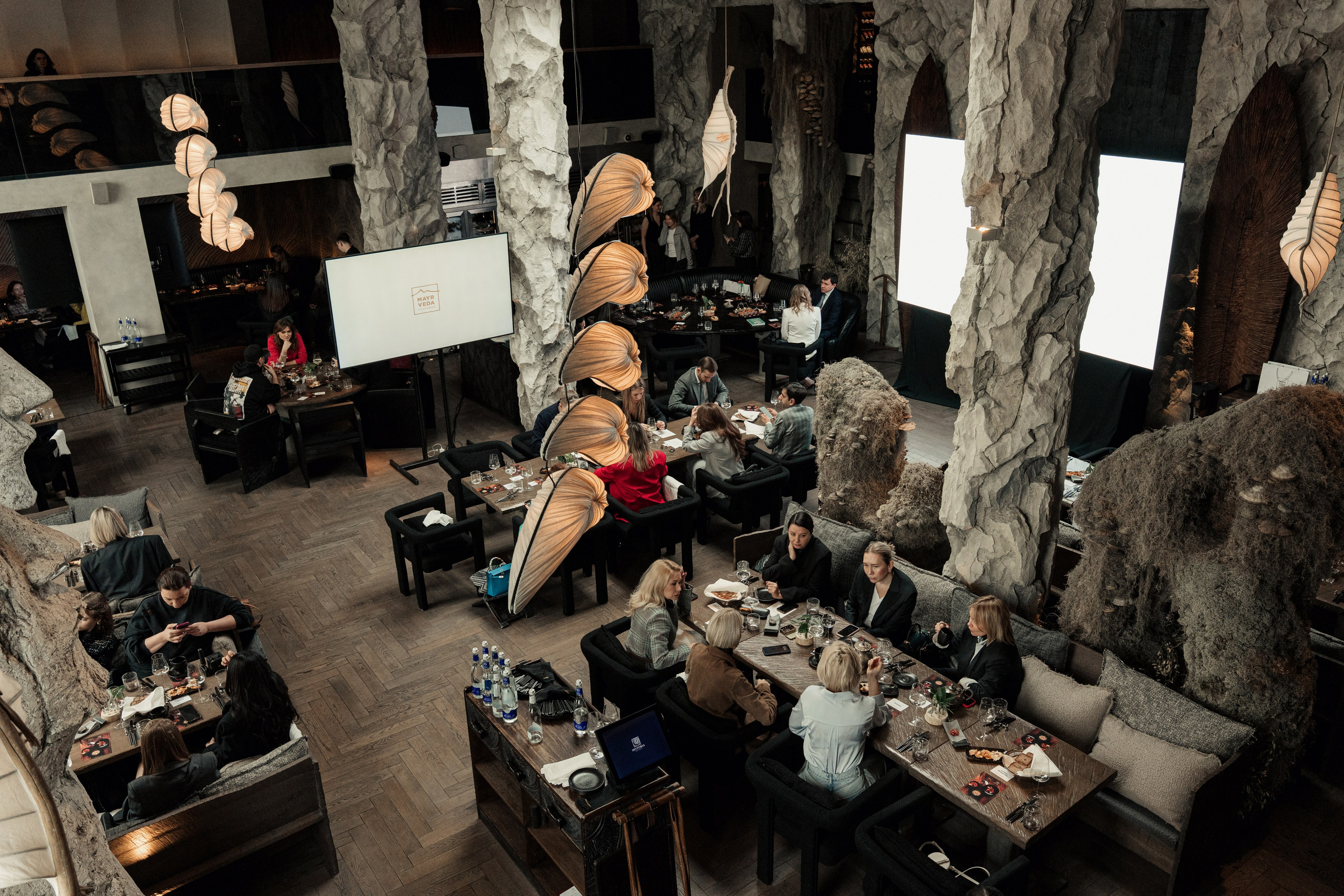 MAYR VEDA. Yankovski_001