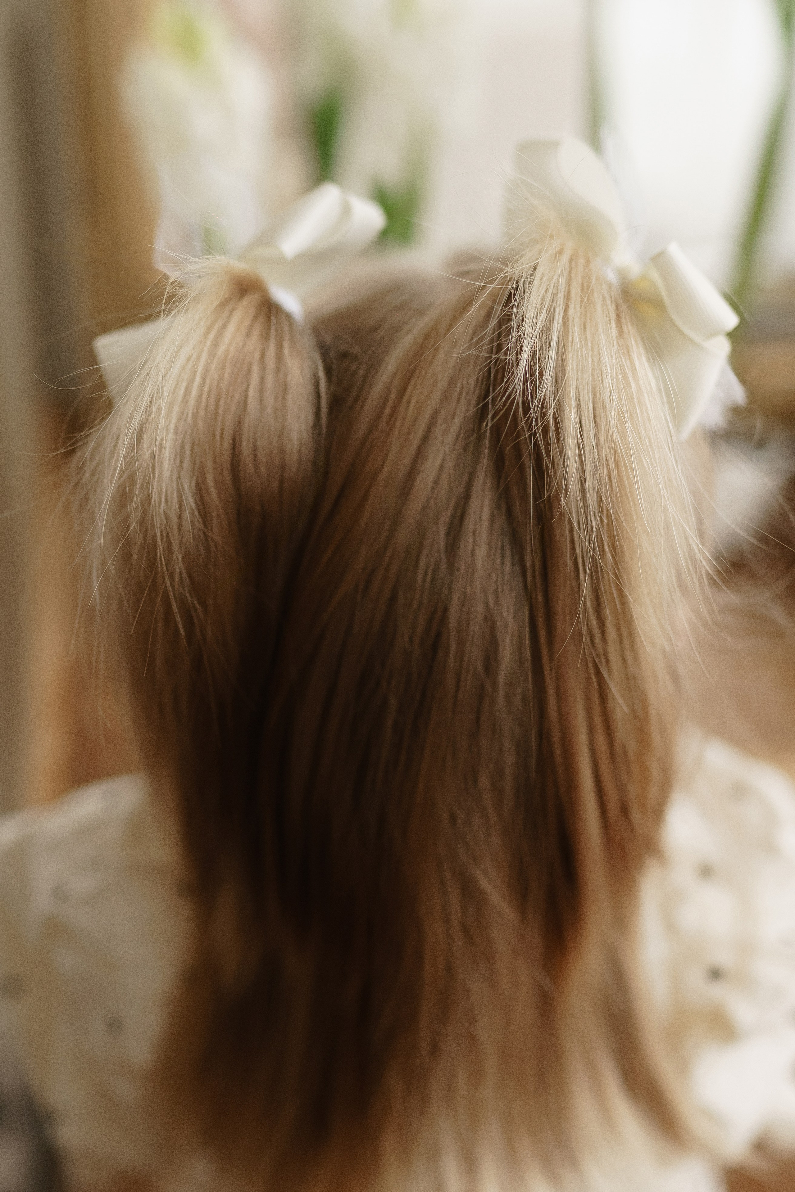 Семейные истории. Фотограф Виктория Брайченко