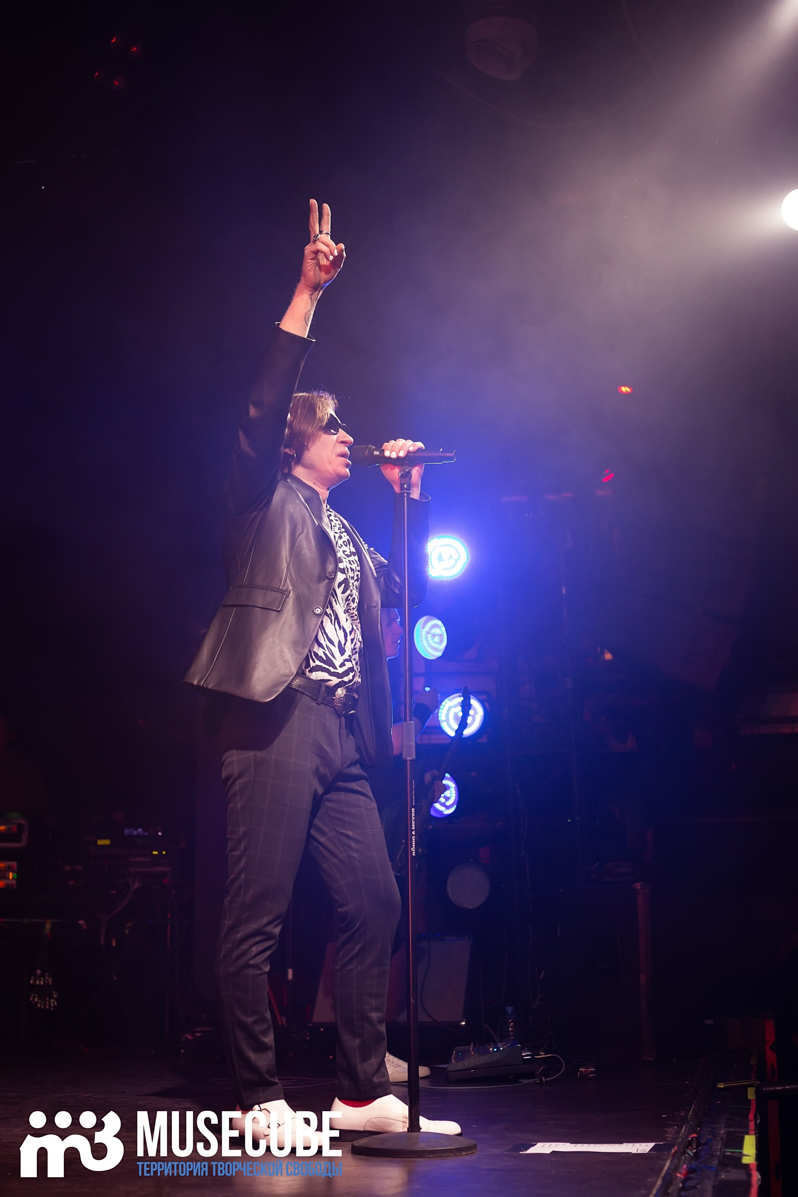 Фотосъемка концерта Найк Борзов Космонавт СПБ. Портретные фотосессии, контент-съемки, репортаж