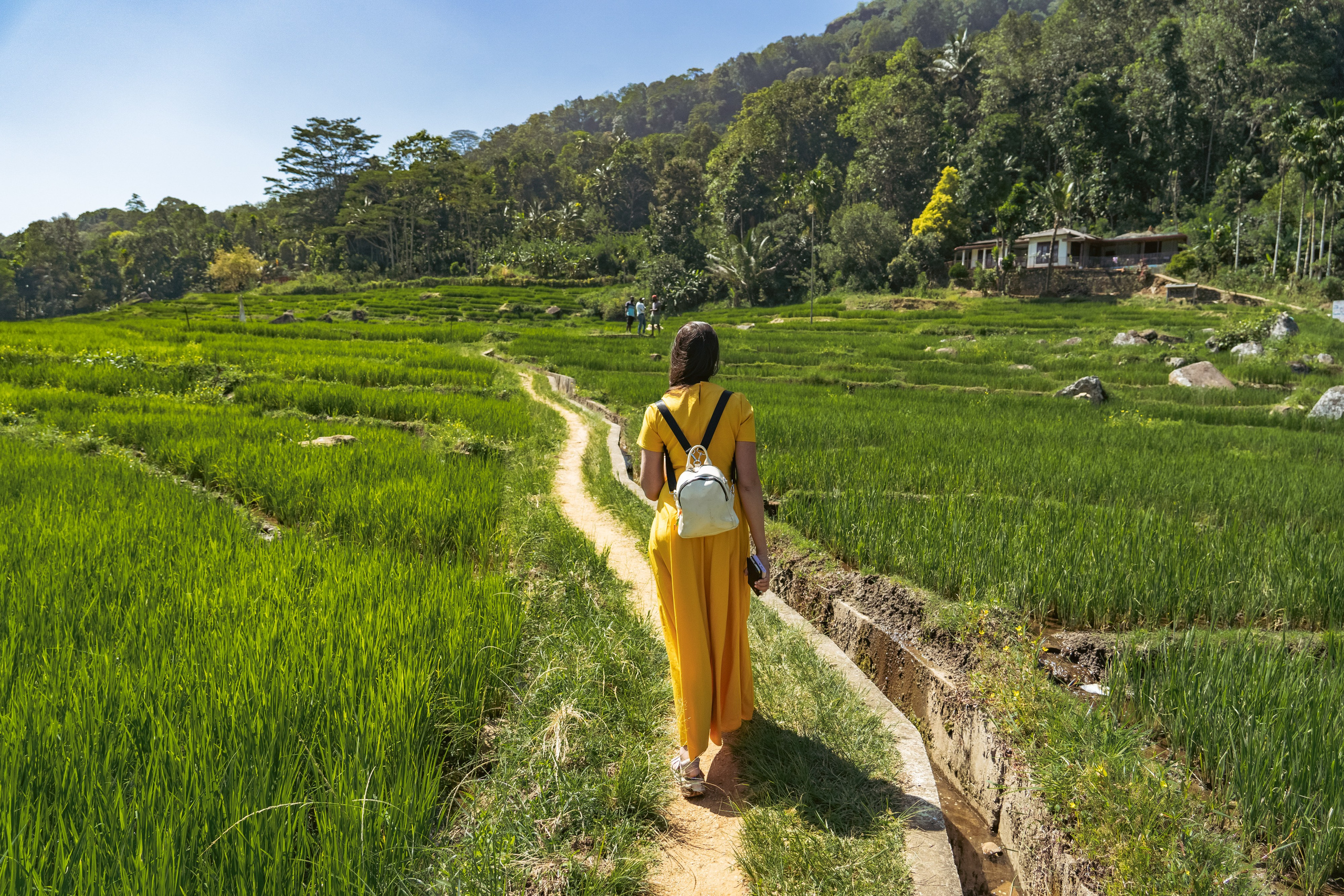 Promo content shooting for Ceylon Forward Tours