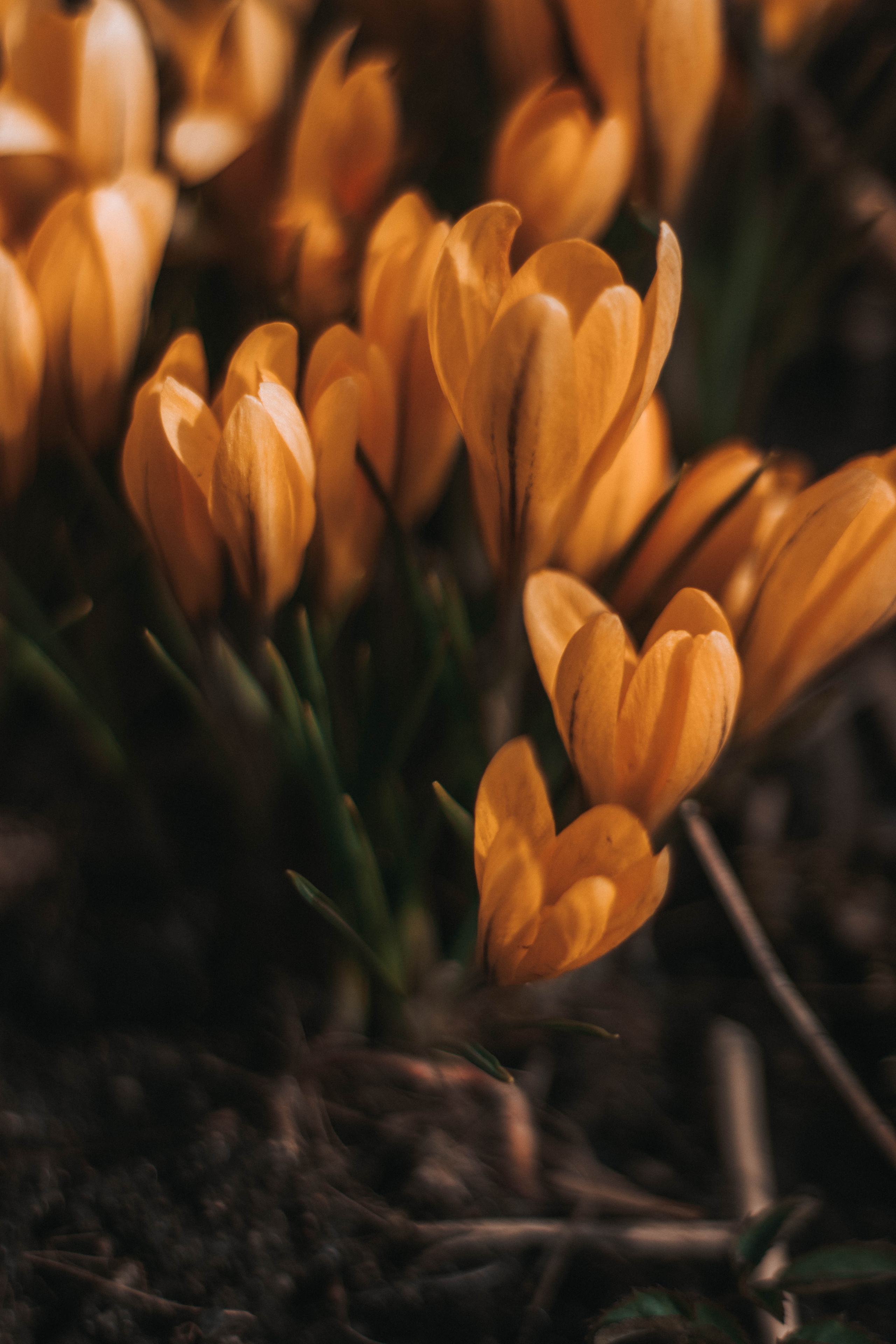 Природа. Руслана Селиванова семейный, портретный фотограф в Петрозаводске