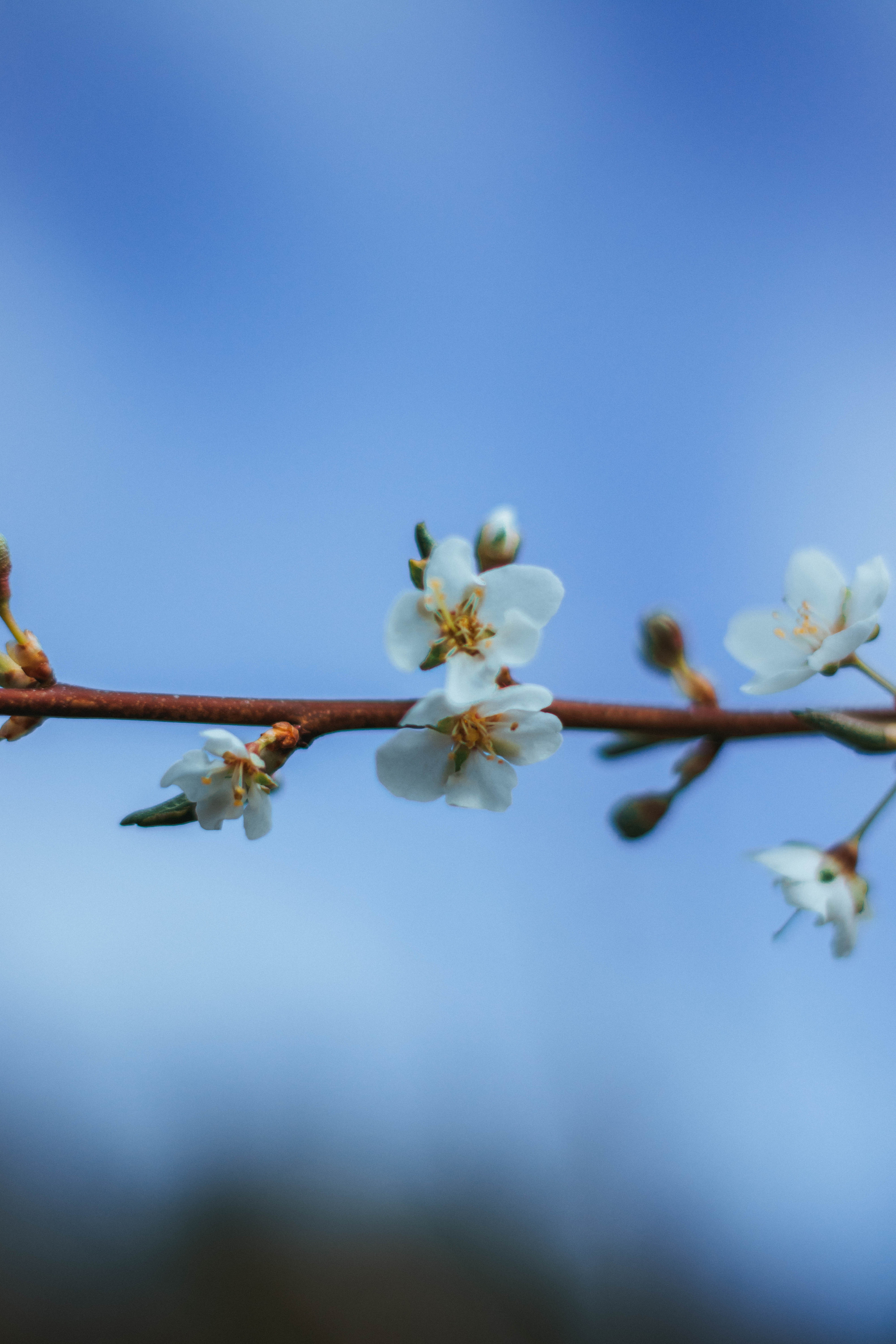 Природа. Руслана Селиванова семейный, портретный фотограф в Петрозаводске