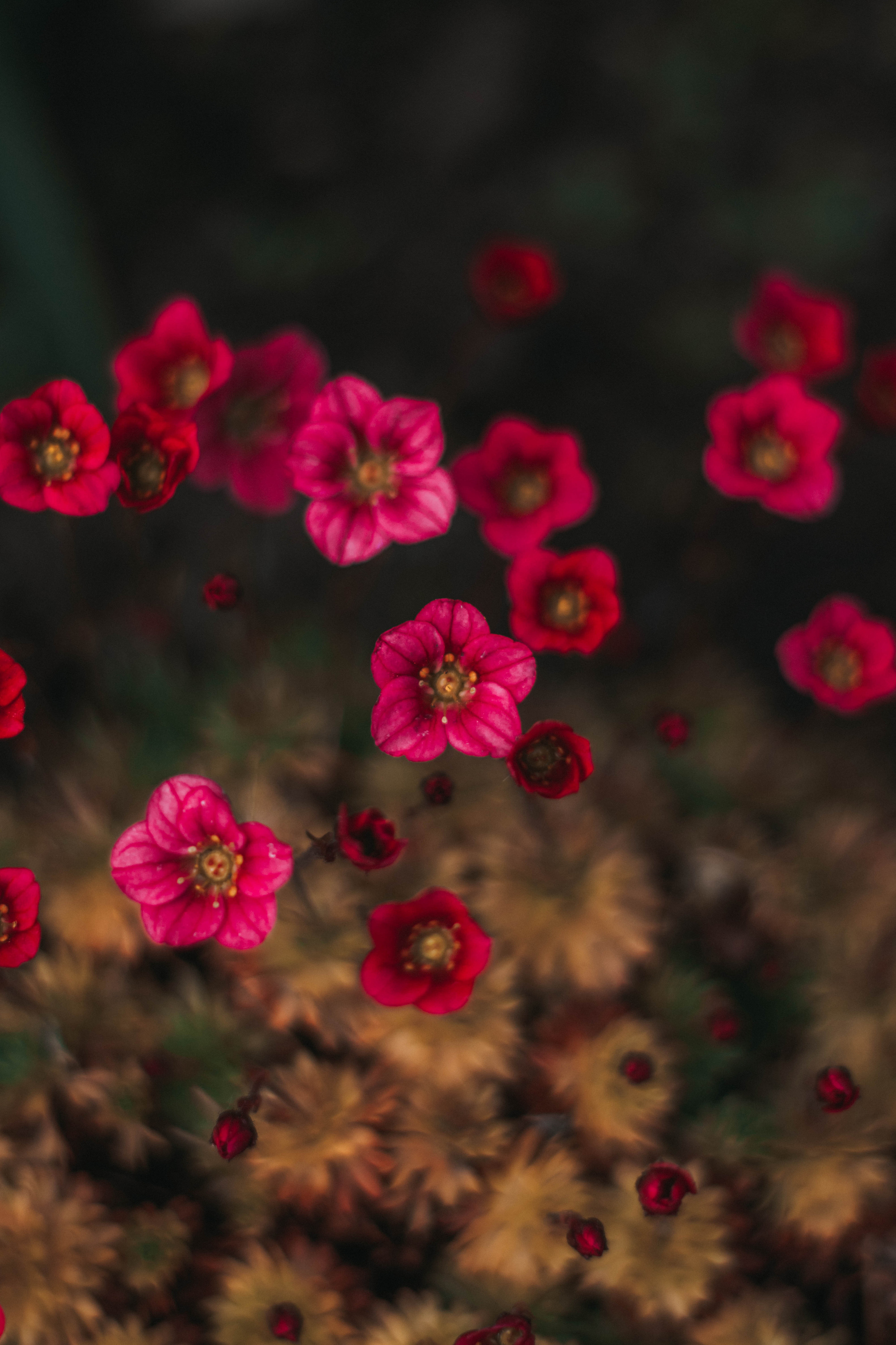 Природа. Руслана Селиванова семейный, портретный фотограф в Петрозаводске