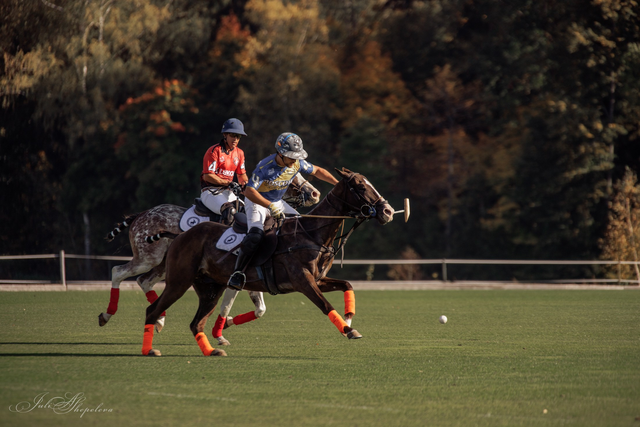 Осенний кубок по конному поло. Детская Конная фотография в Москве Юлия Шепелева