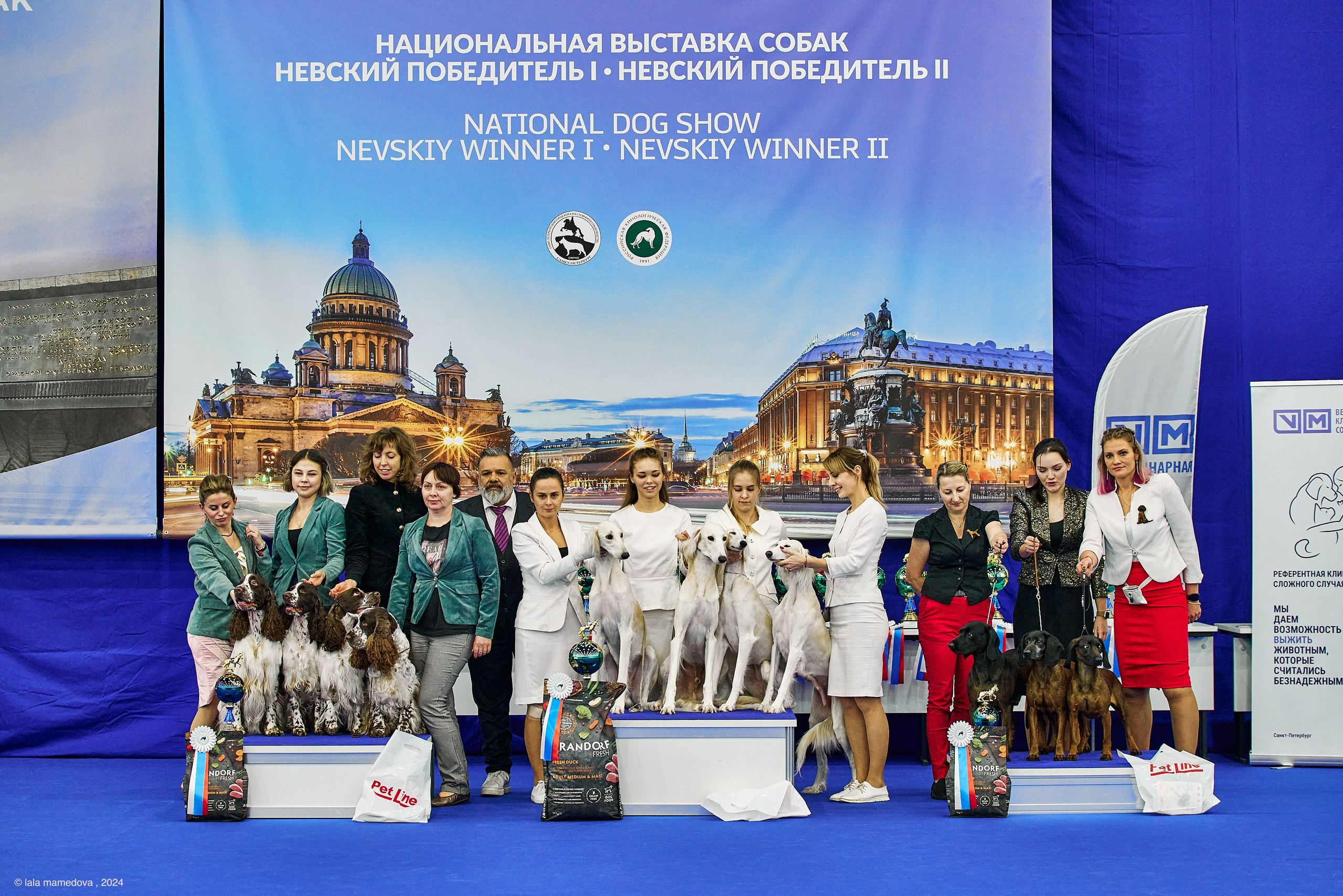 РЕЙТИНГОВАЯ ВЫСТАВКА СОБАК ВСЕХ ПОРОД С ОСОБЫМ СТАТУСОМ"НЕВСКИЙ ПОБЕДИТЕЛЬ-2024-2"