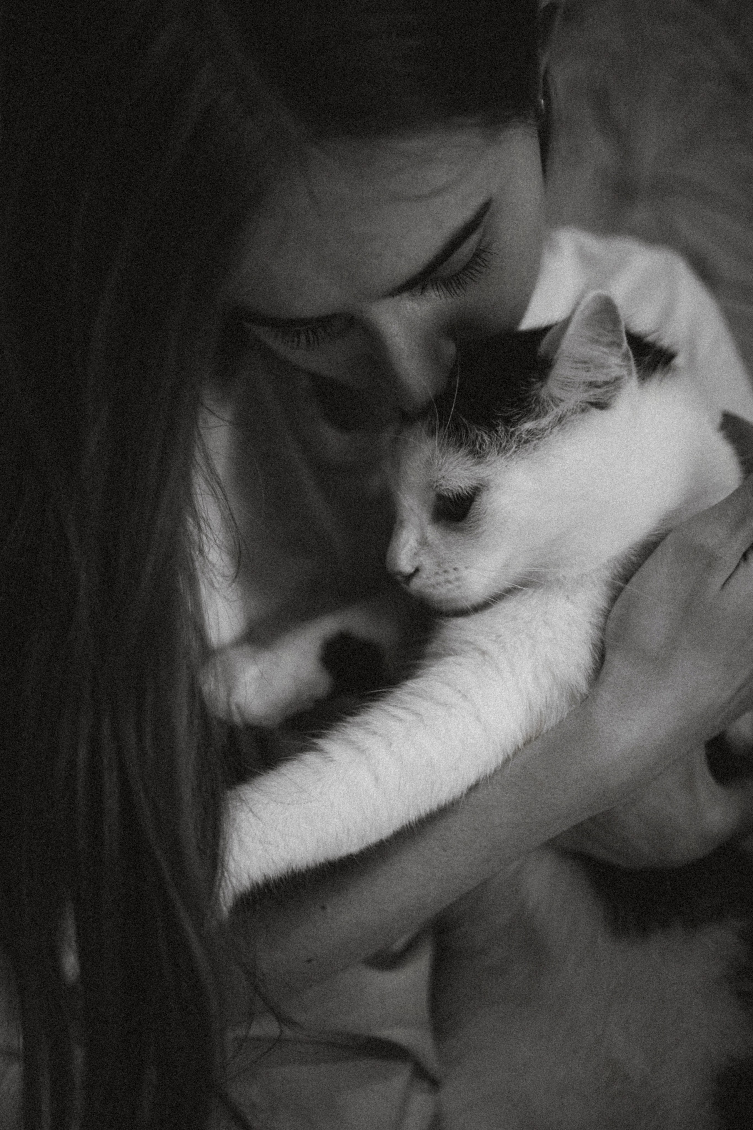 Рыся, Кепа и их семья