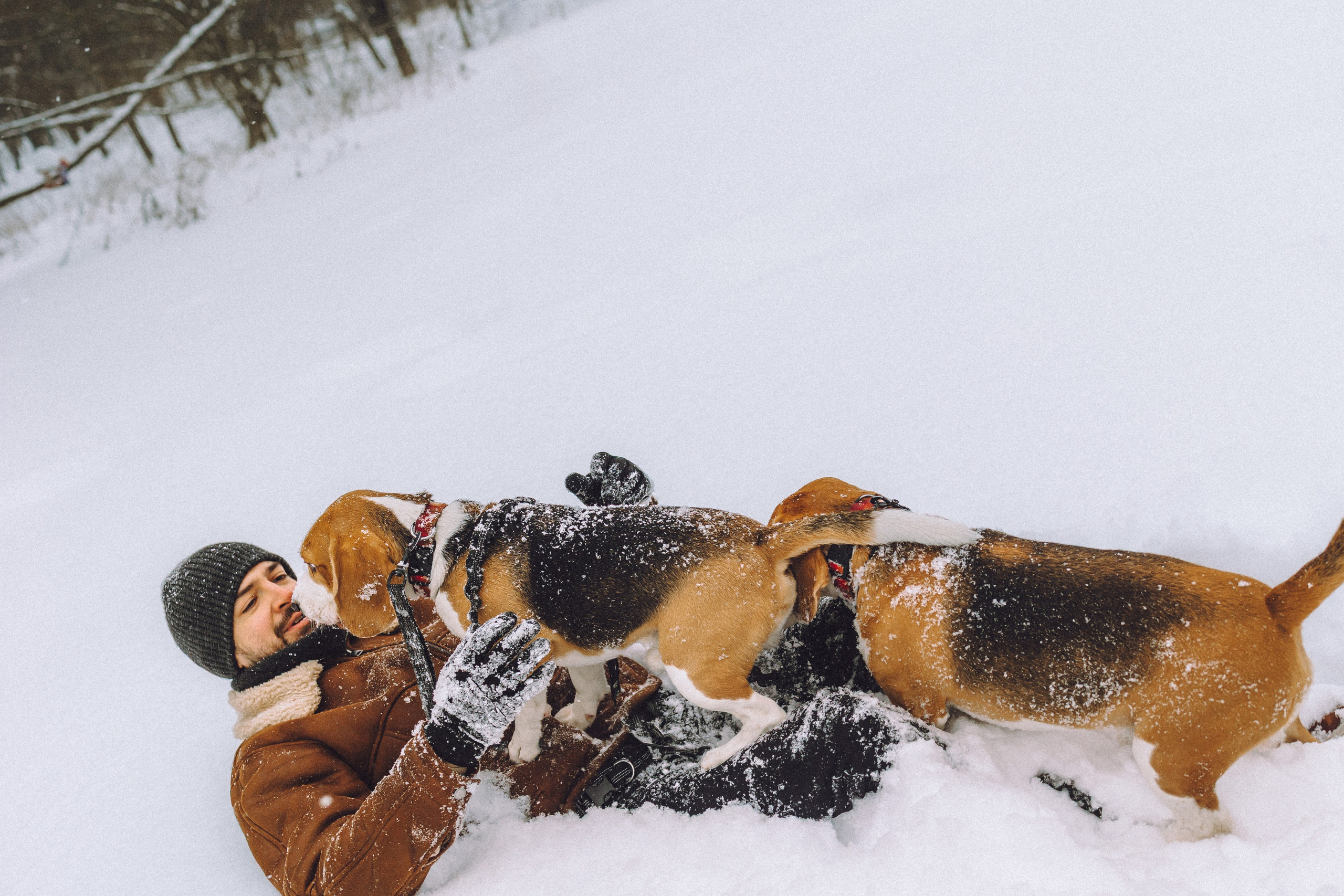 Роман, Портер и Коррес