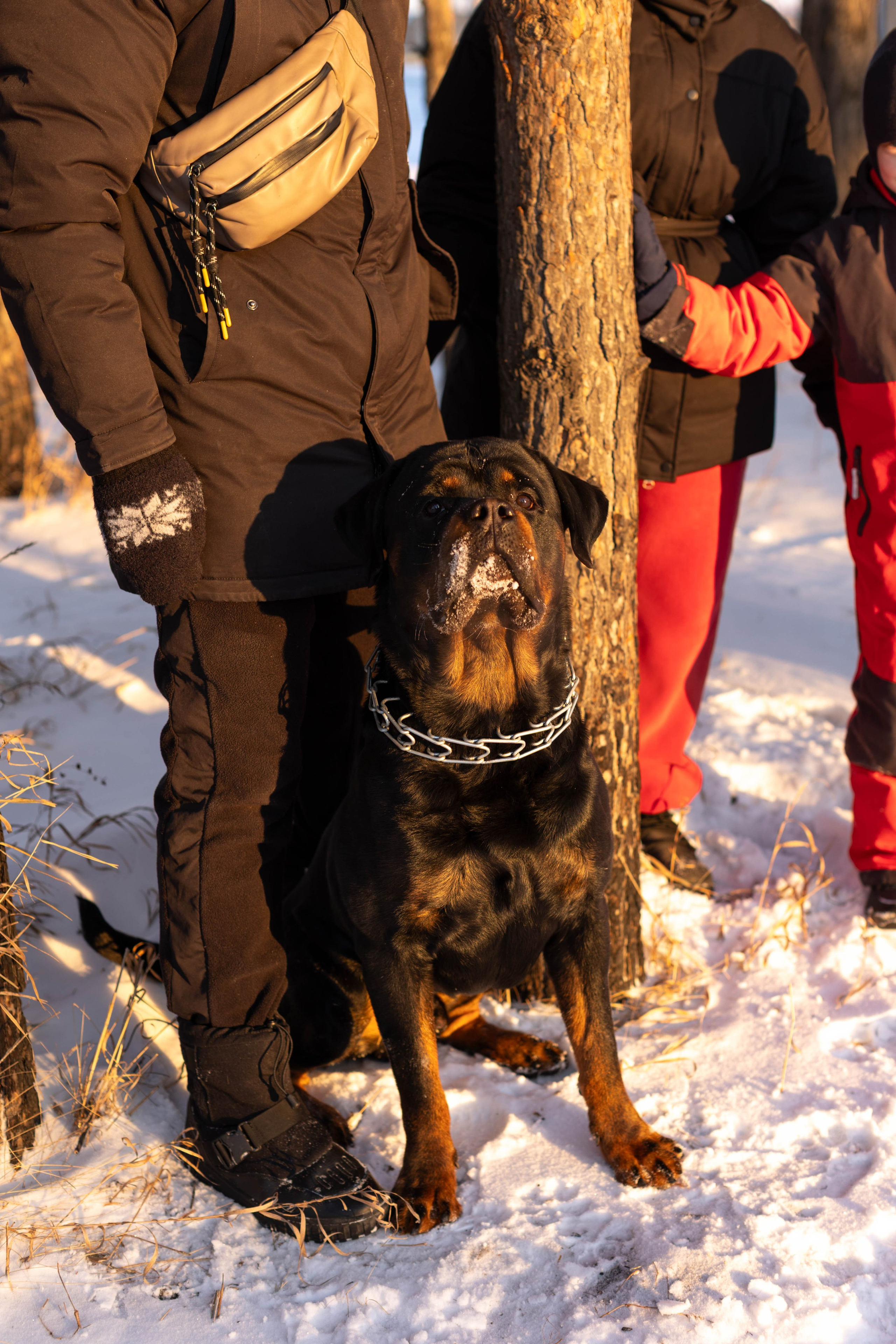 Зимняя прогулка. Art my Pho