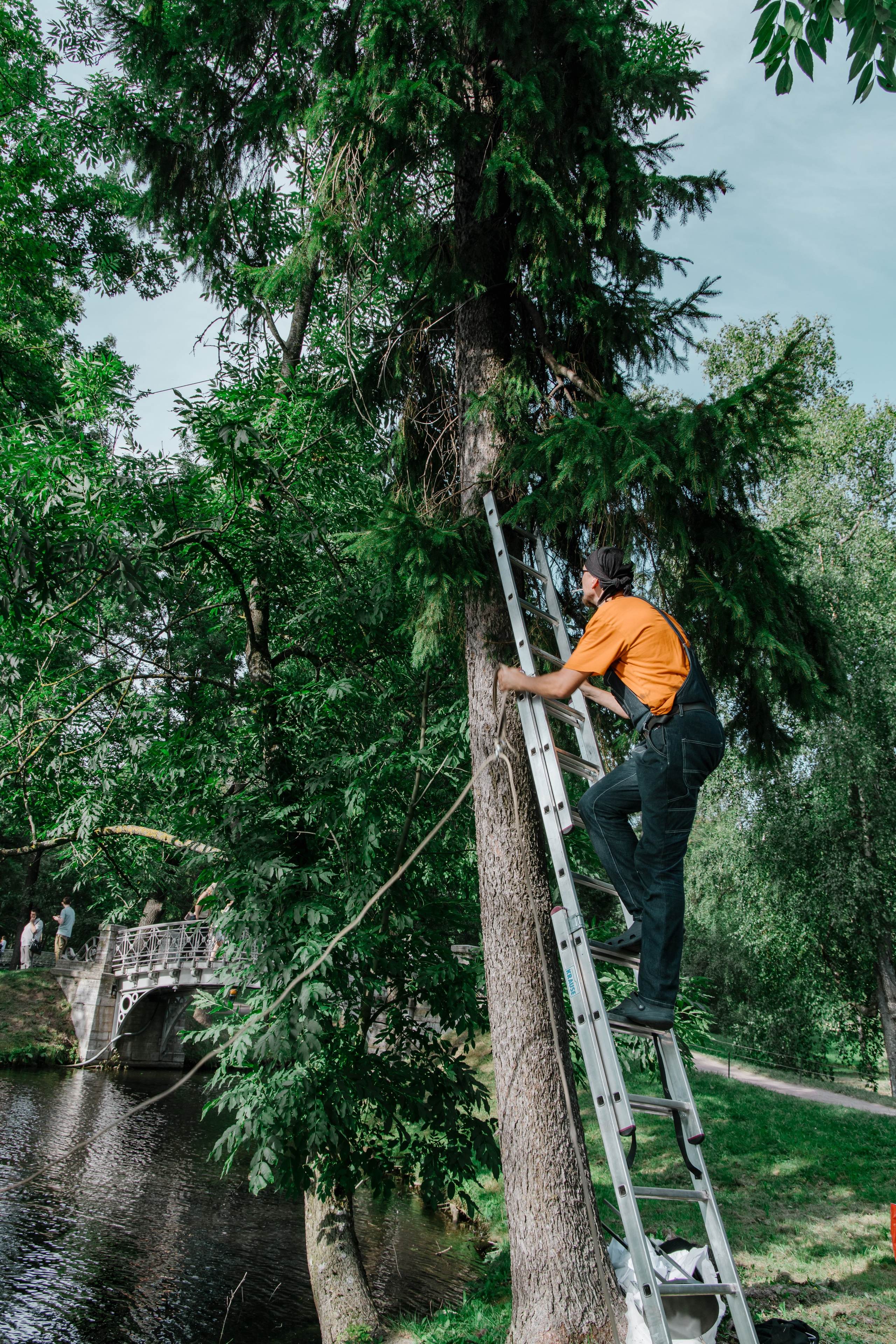 Фестиваль «Ночь света» в Гатчине. Polinanazar//Полина Назарова, фотохудожник
