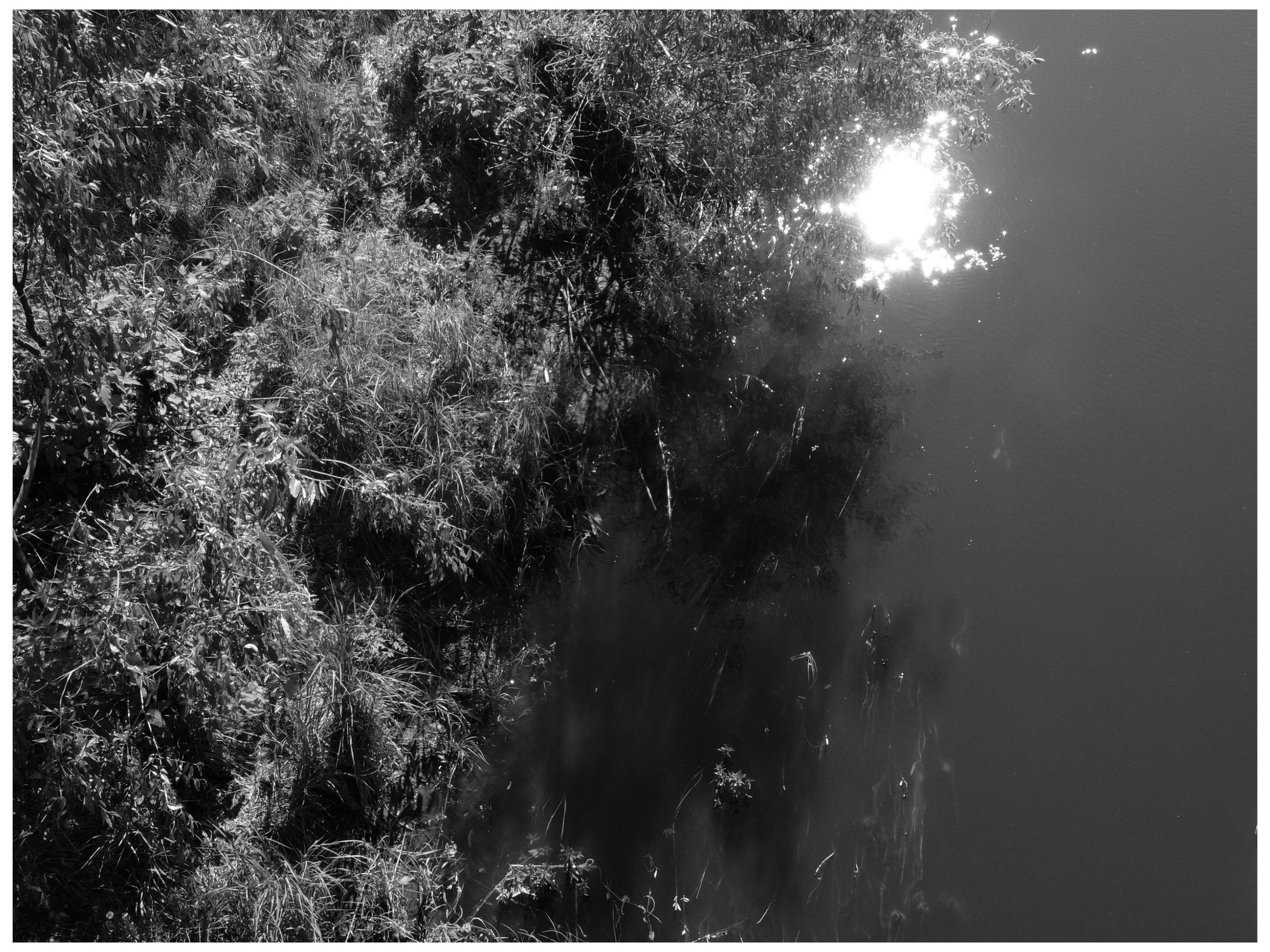 Промежуточные моменты (2022)