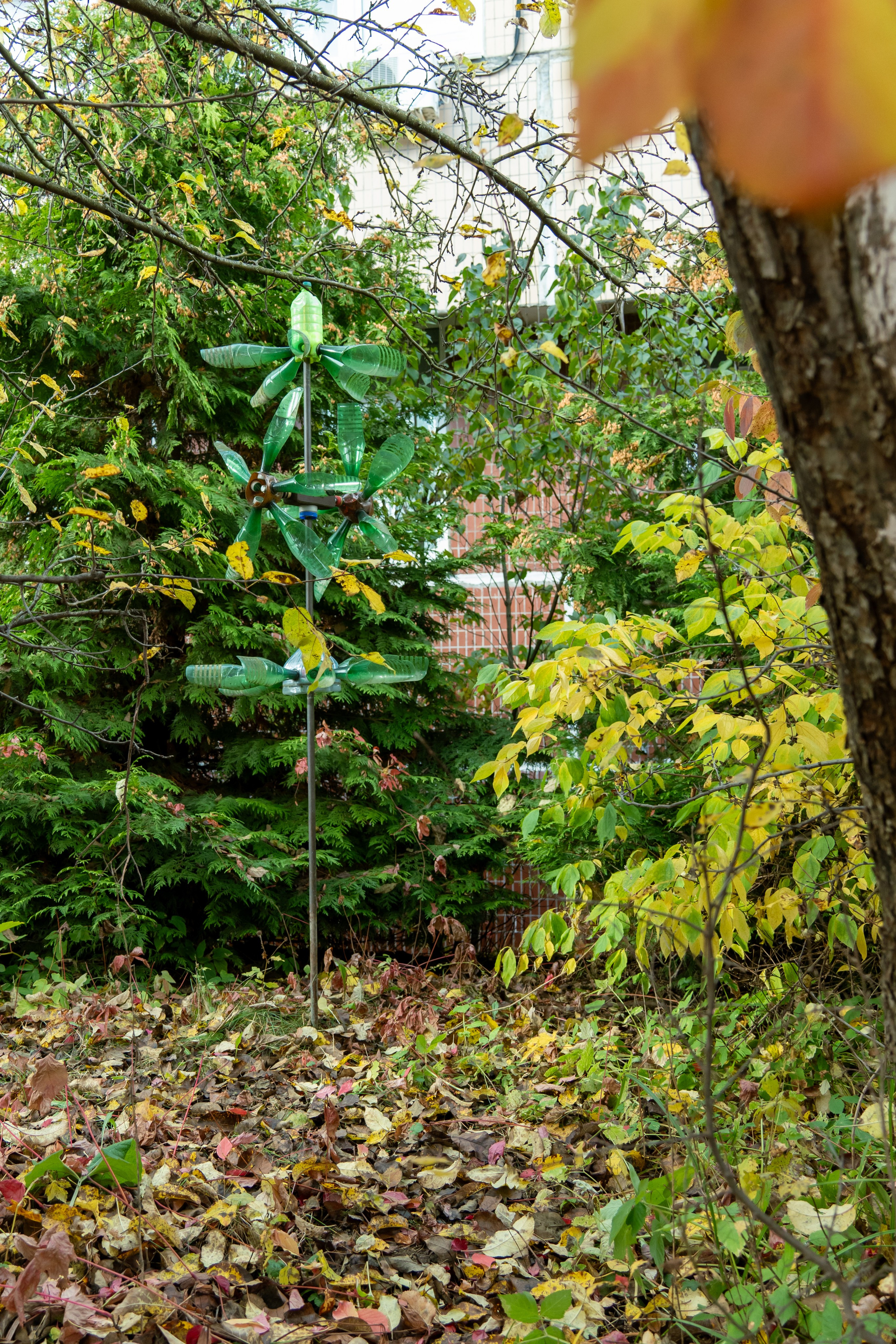 20251012 МГУ. Дмитрий Ремизов. Фотография, как хобби