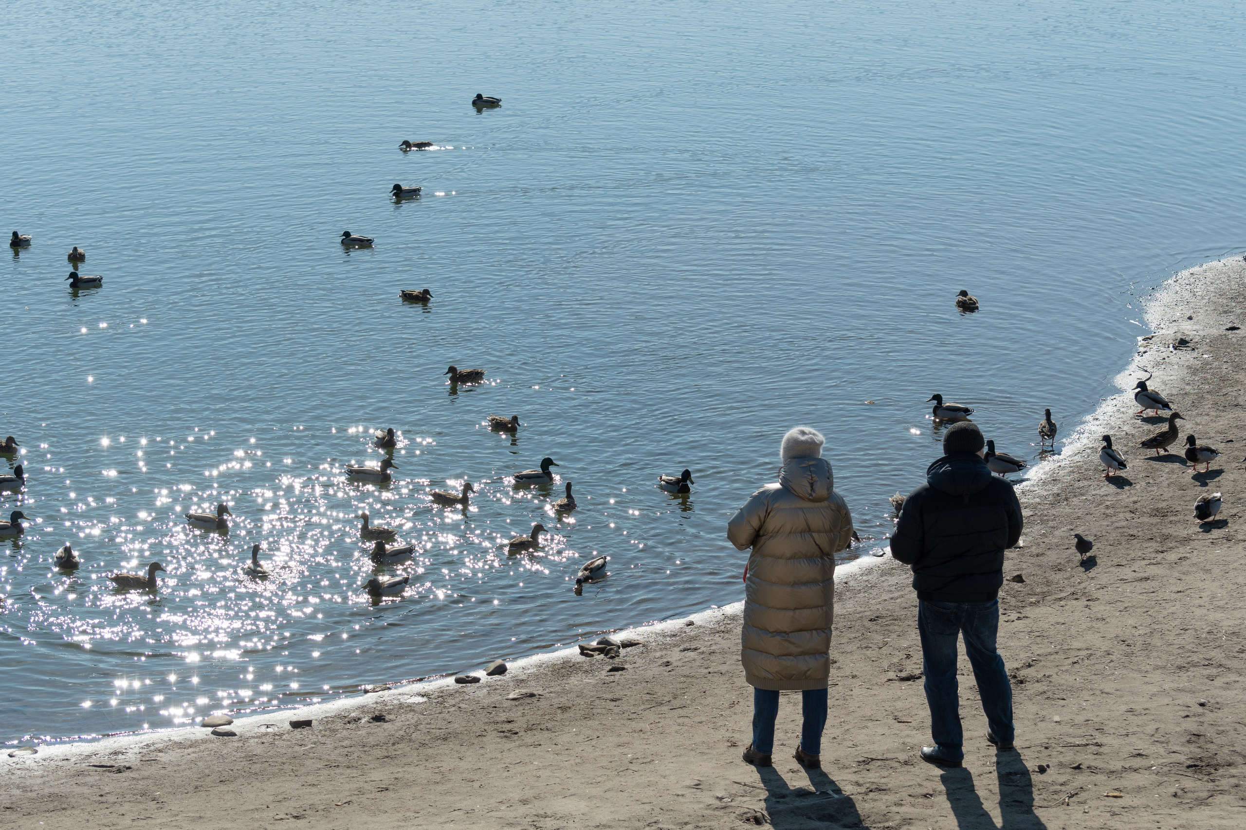 20220320 Коломенское. Дмитрий Ремизов. Фотография, как хобби