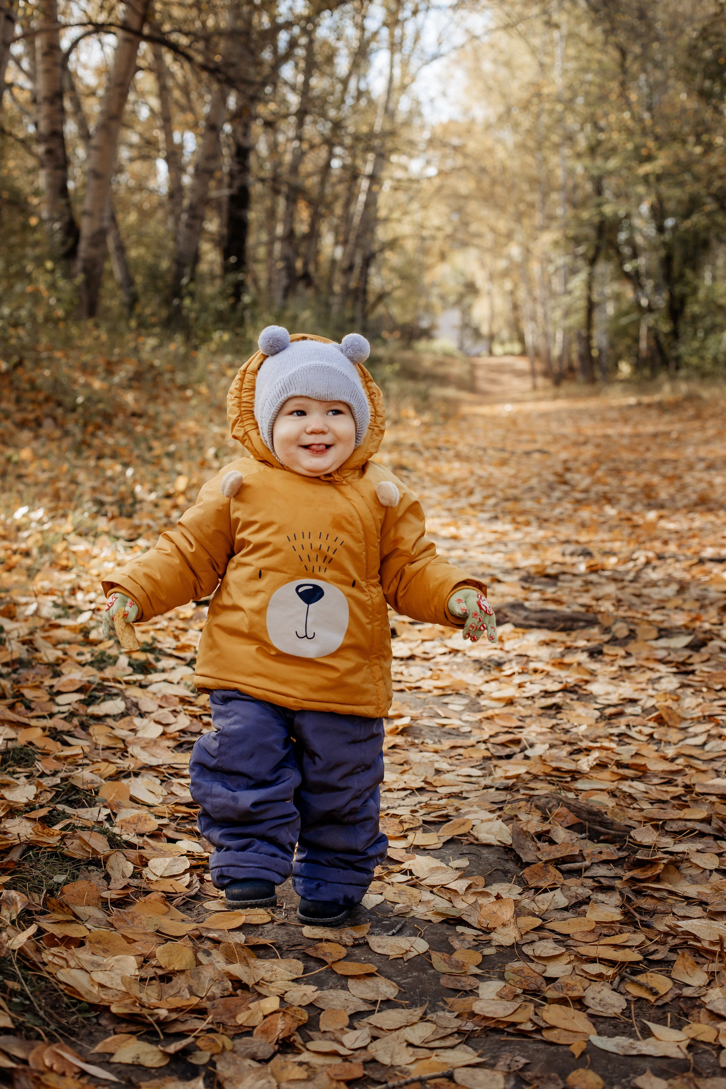 Осенняя прогулка. Главная