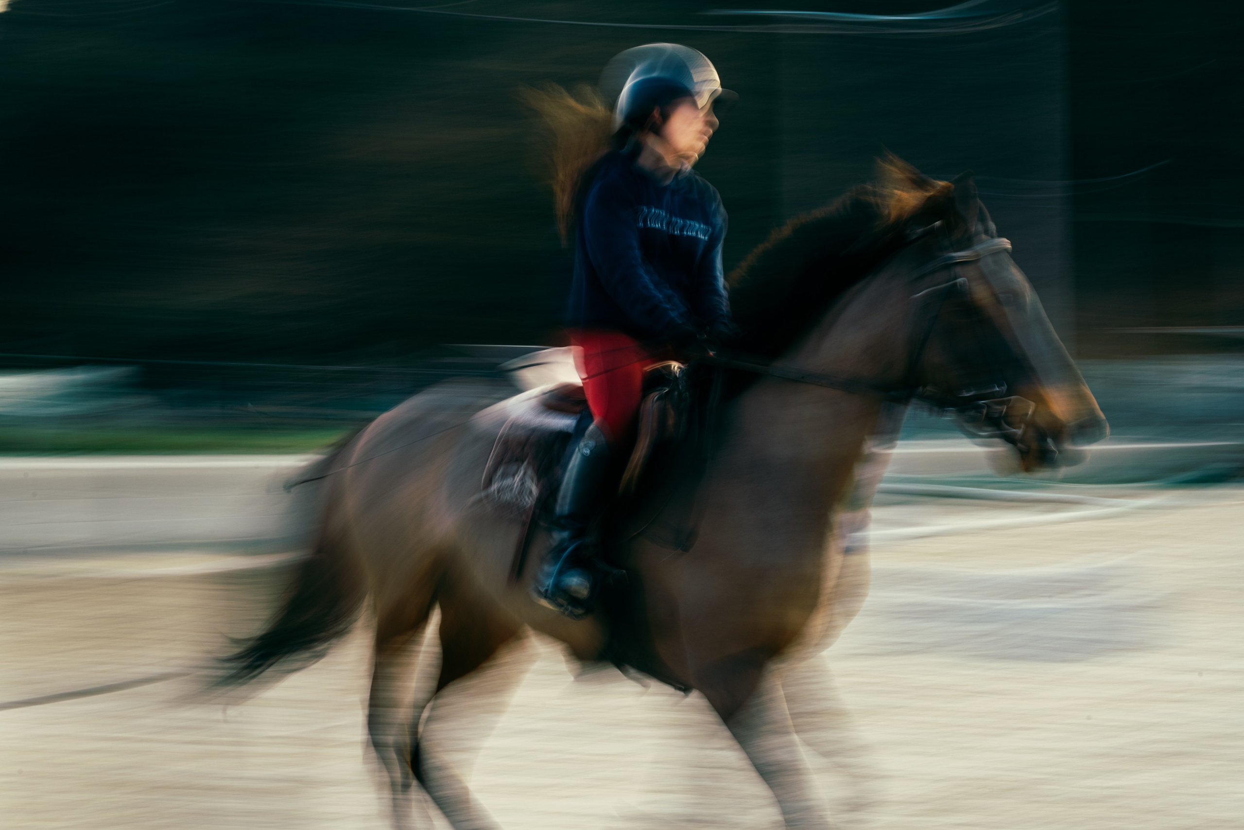 HORSES. Anastasiia Antoniuk portrait, family and couple photographer, Portugal