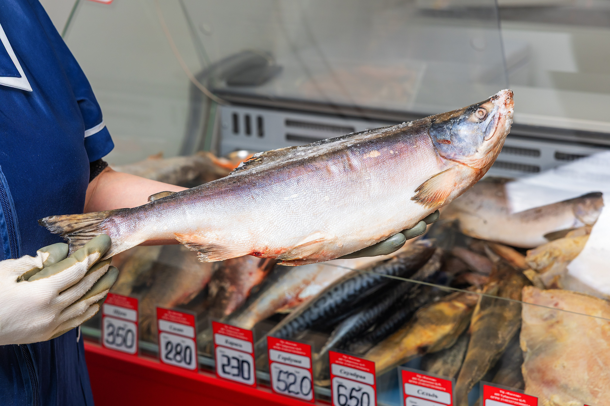 Рынок «Каскад». Фотограф и видеограф в Улан-Удэ: Аюна Габагуева и Артём Шаханов