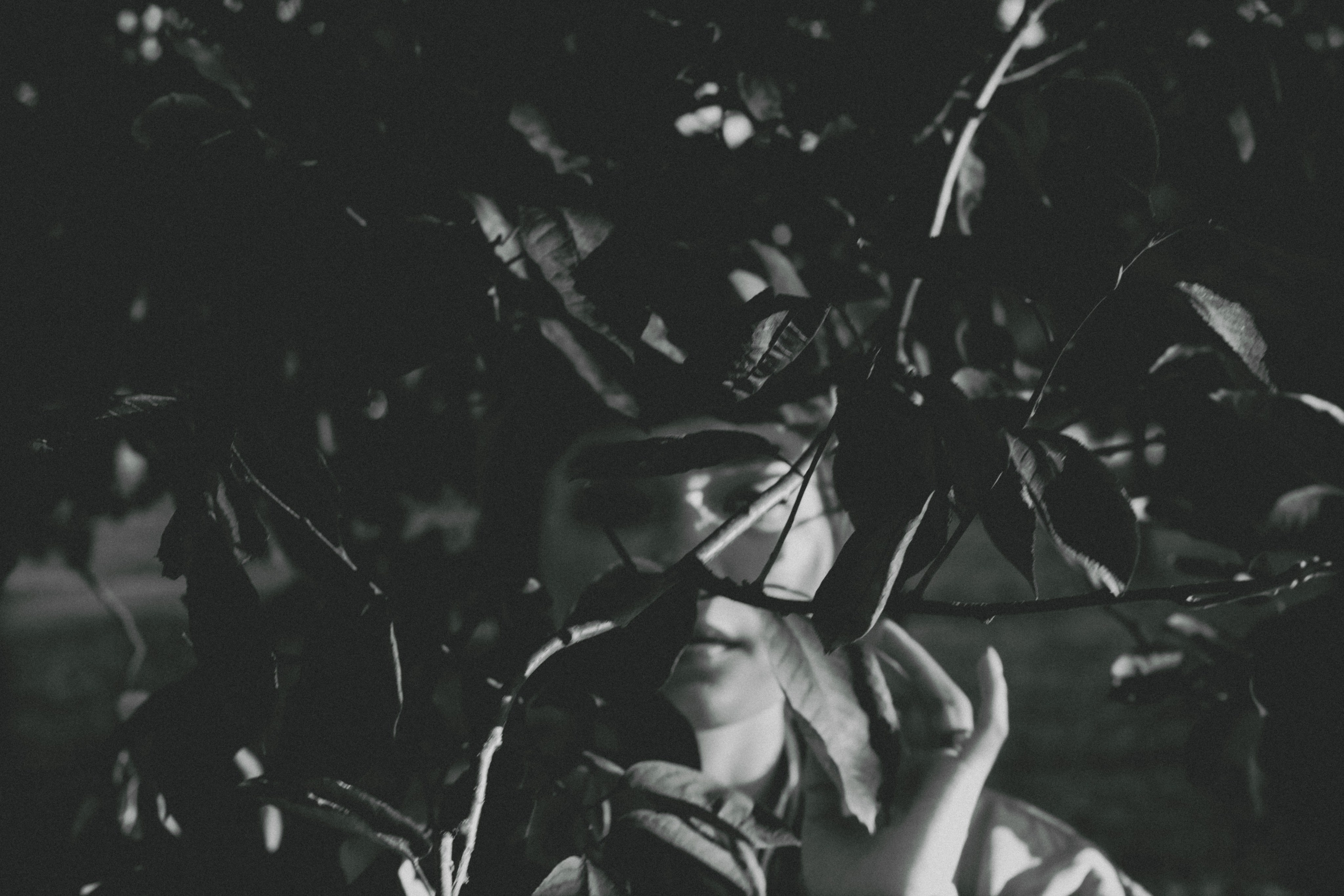 Elin. Валерия Трофимова ФОТОГРАФ|Санкт-Петербург |Крым