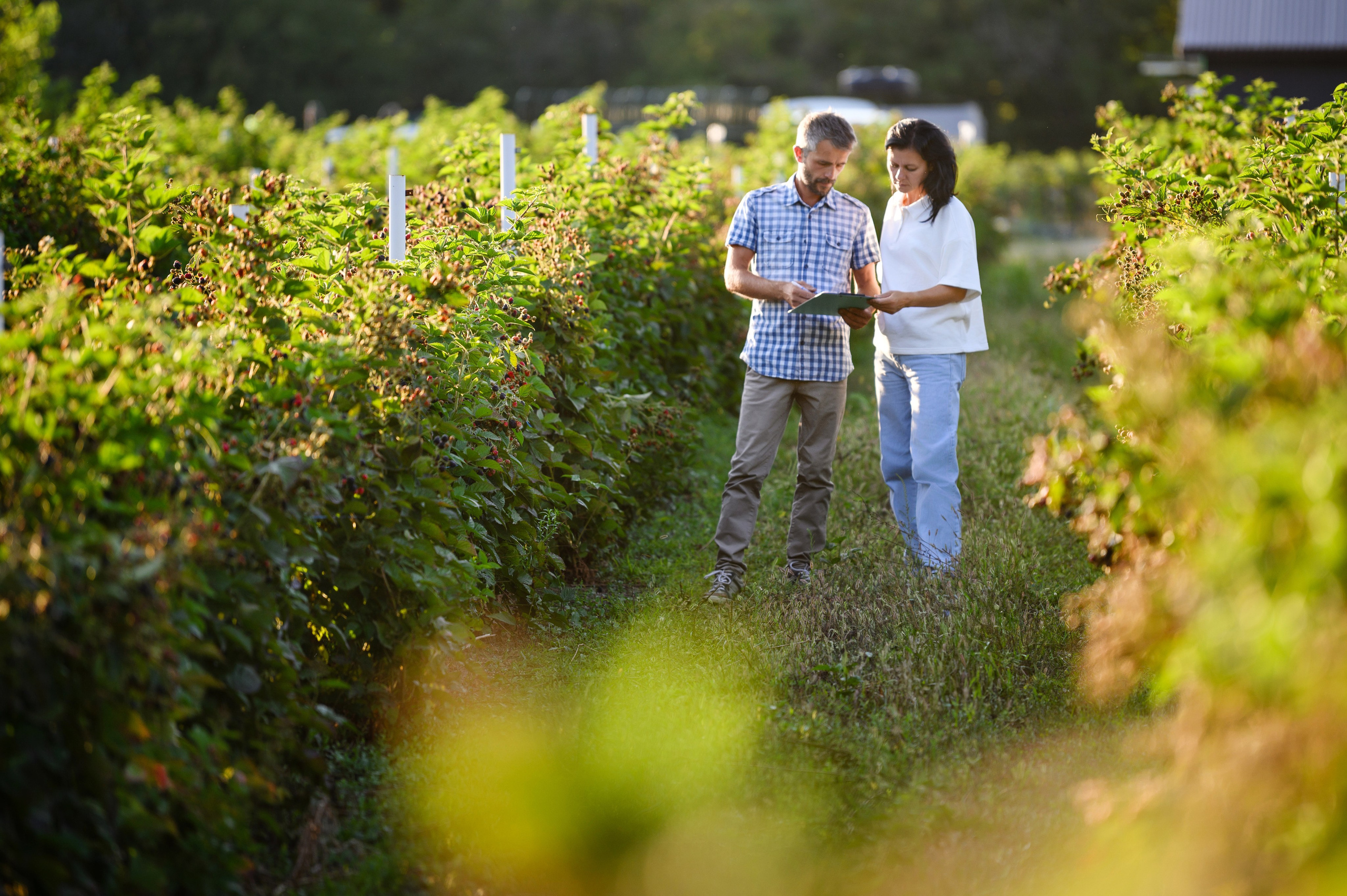 Проекты. Профессиональный фотограф Вячеслав Плацында | Липецк |